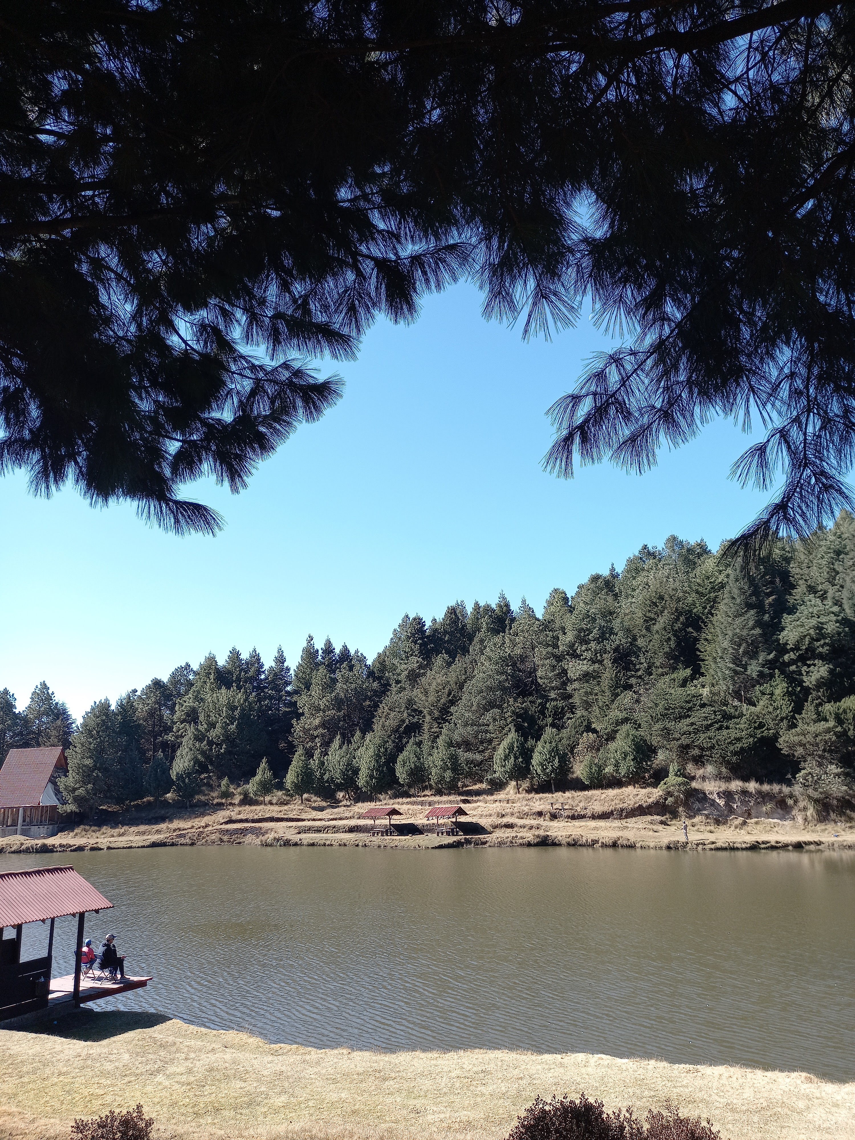 Pesca Deportiva Tepehuisco image 3