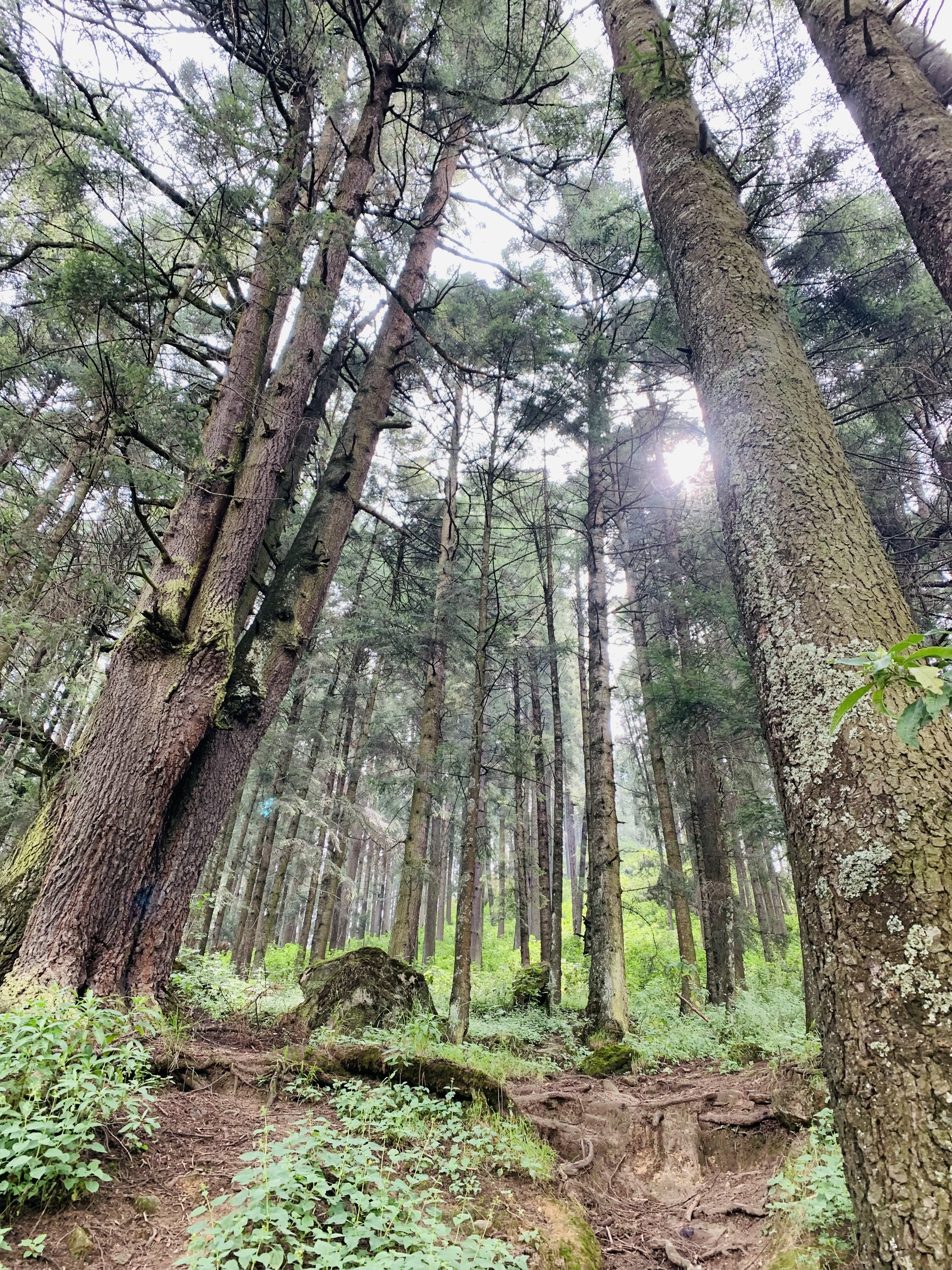 Pesca Deportiva Tepehuisco image 4