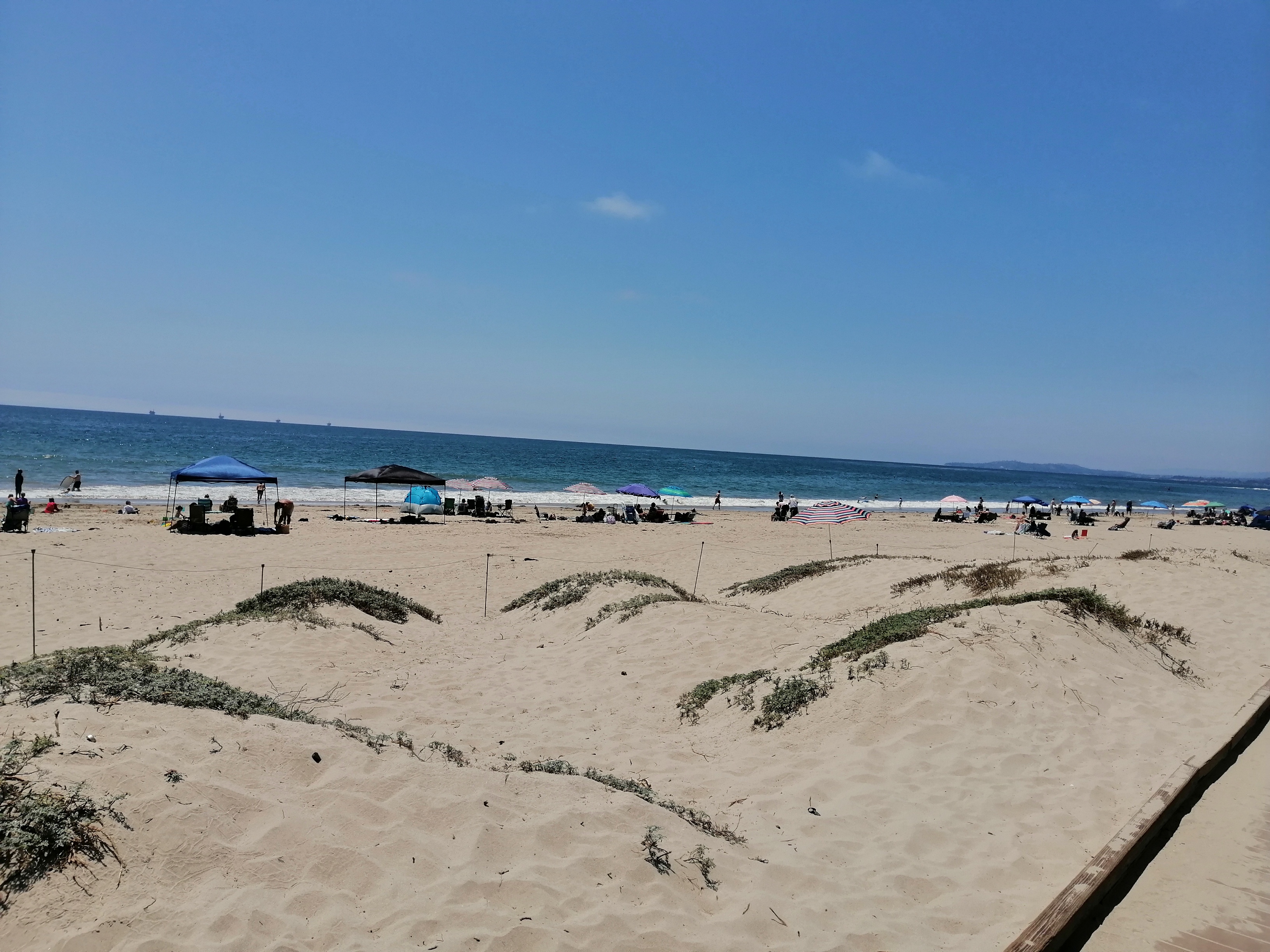 Güero's Pizza image 4