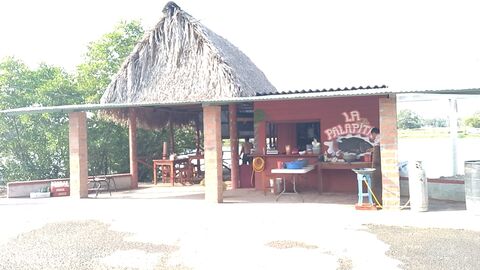La palapita image 5