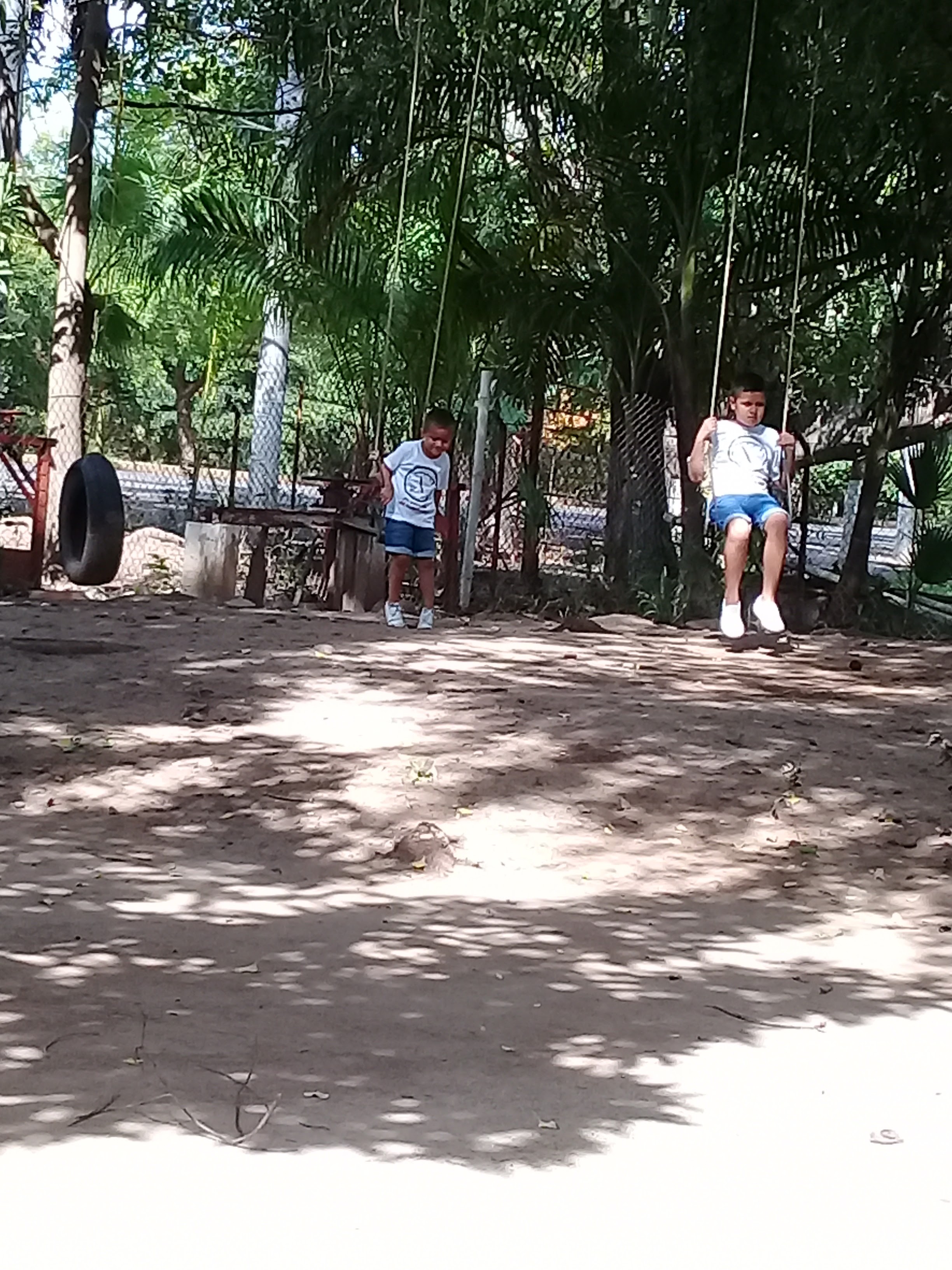 Mariscos el Sazón de los López image 10