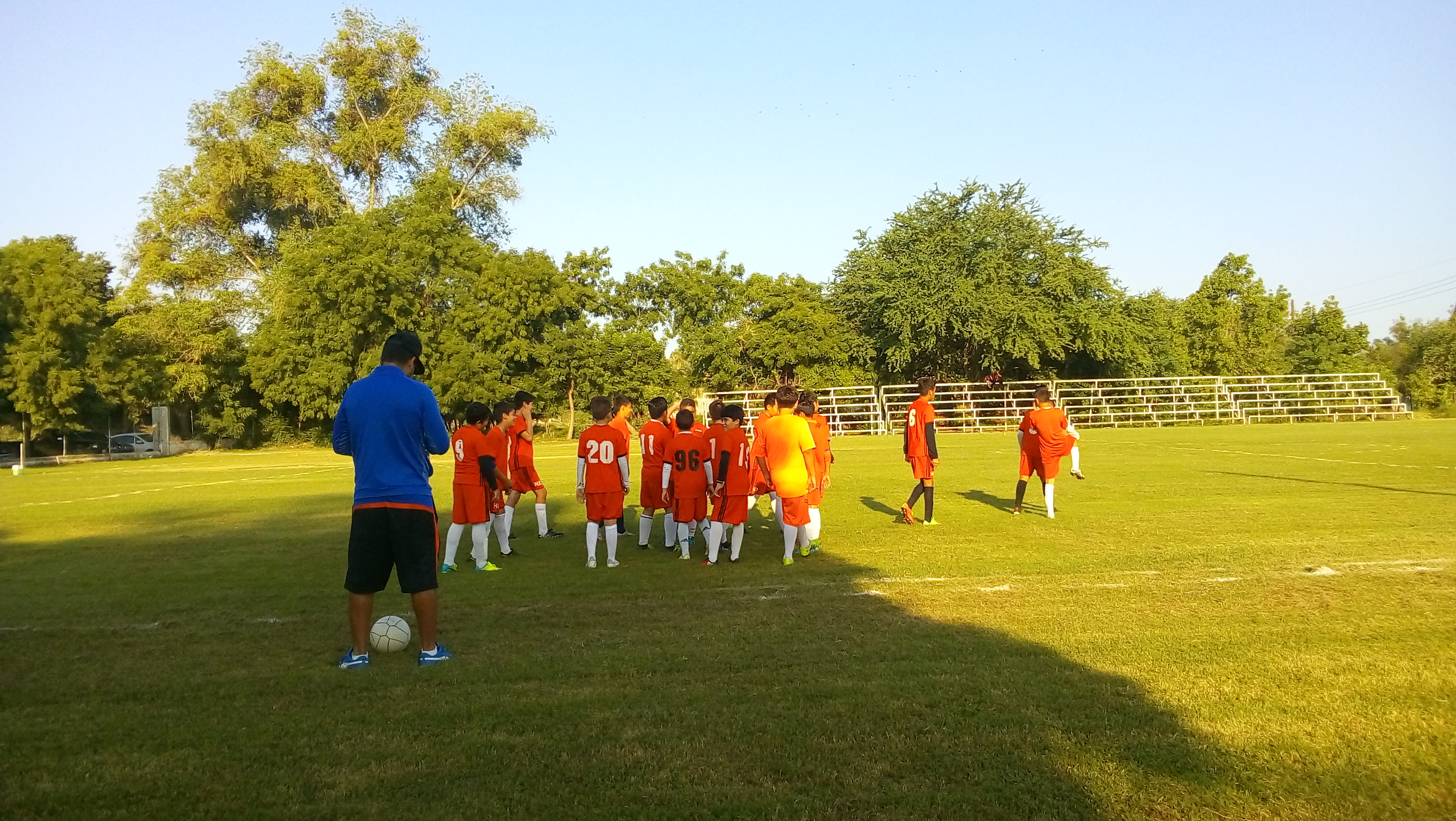 Restaurante comida china. MAN CHU image 6