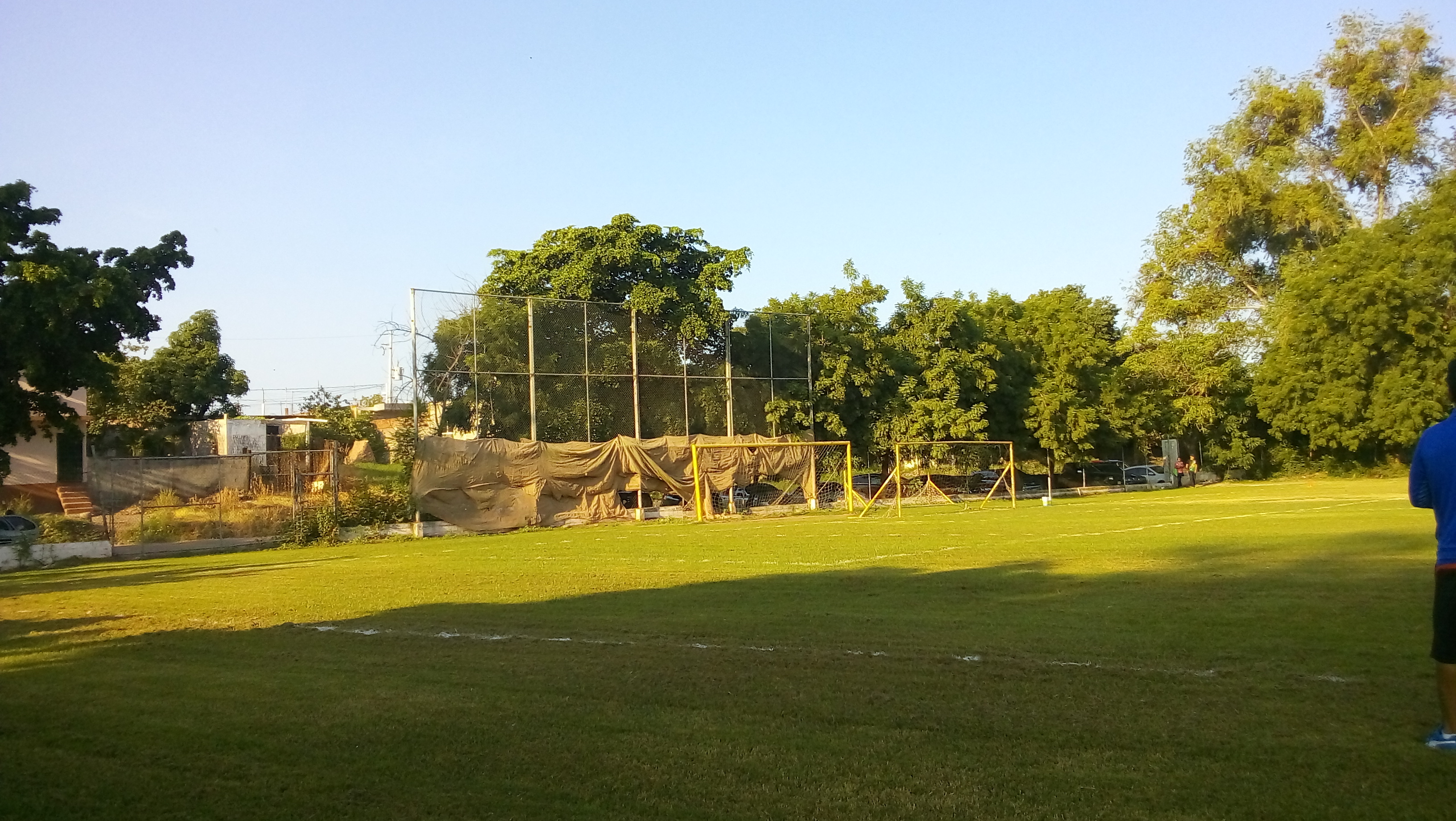 Restaurante comida china. MAN CHU image 10