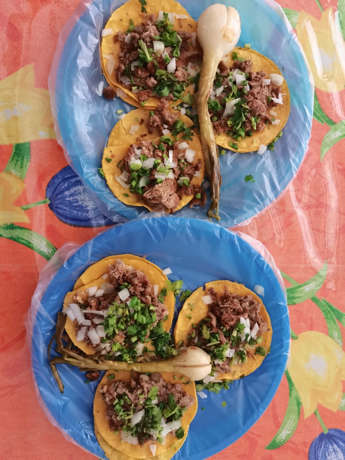 Taquería Escamilla image 1