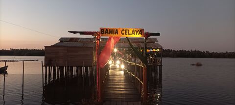 PALAPA FAMILIAR BAHIA CELAYA image 1