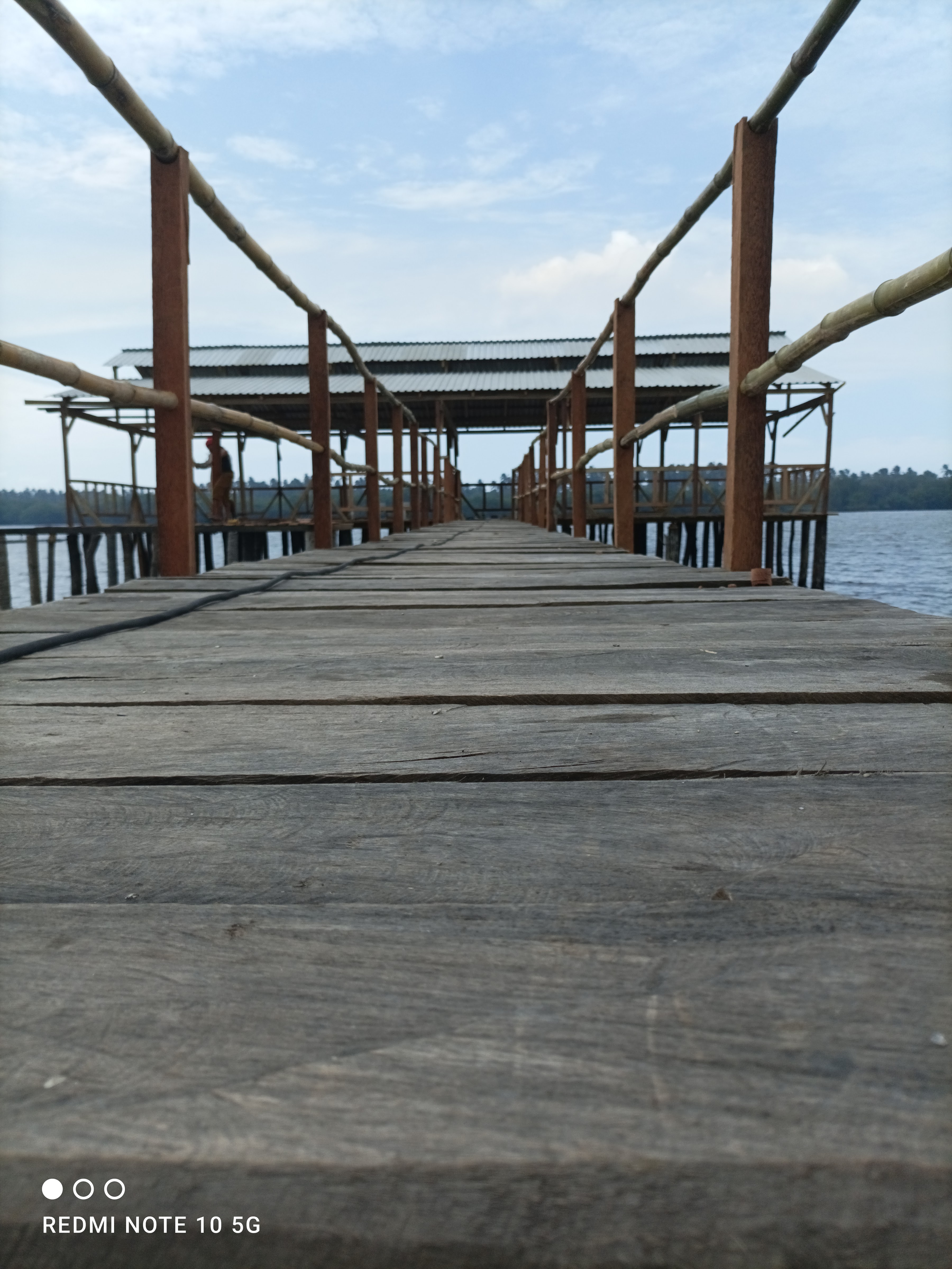 PALAPA FAMILIAR BAHIA CELAYA image 2