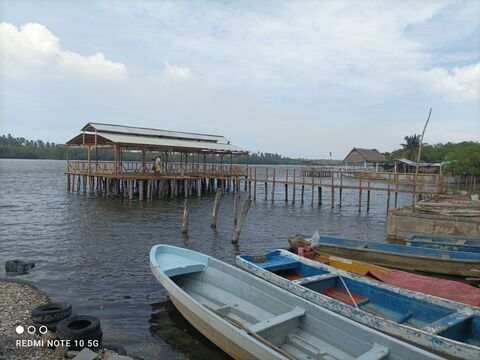 PALAPA FAMILIAR BAHIA CELAYA image 3