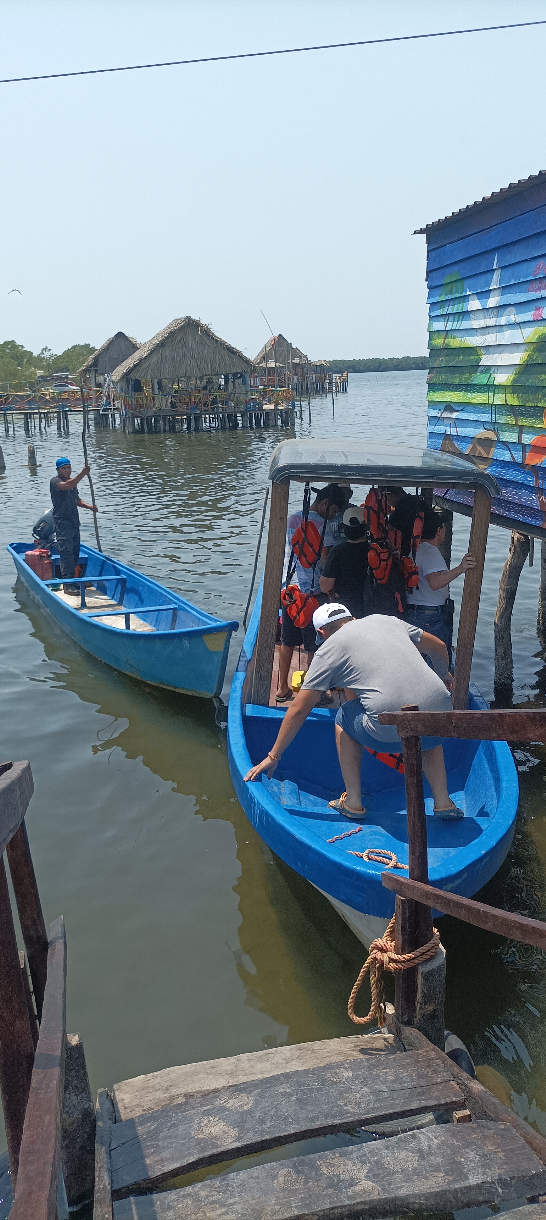 PALAPA FAMILIAR BAHIA CELAYA image 5