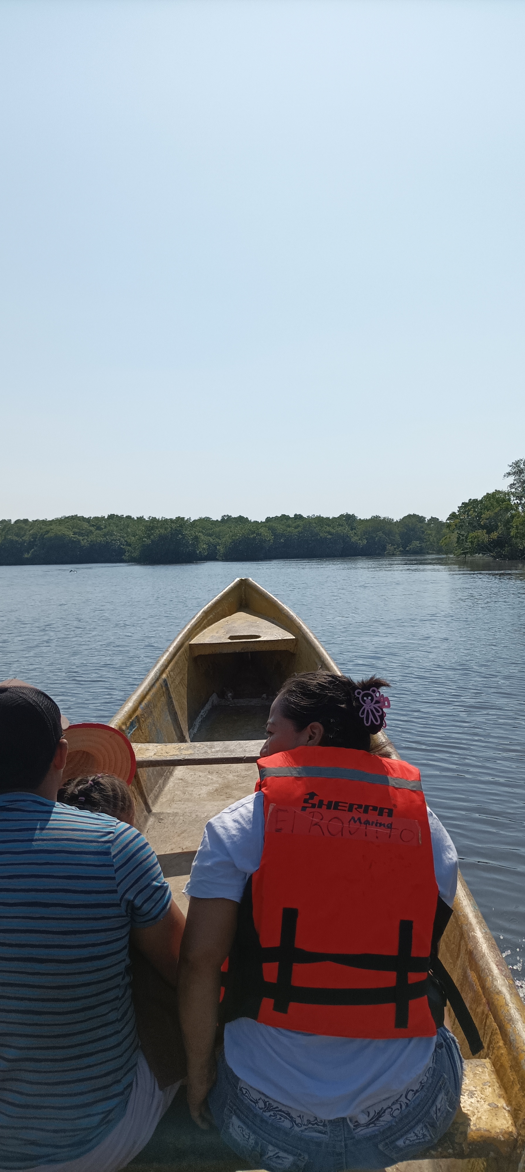 PALAPA FAMILIAR BAHIA CELAYA image 6