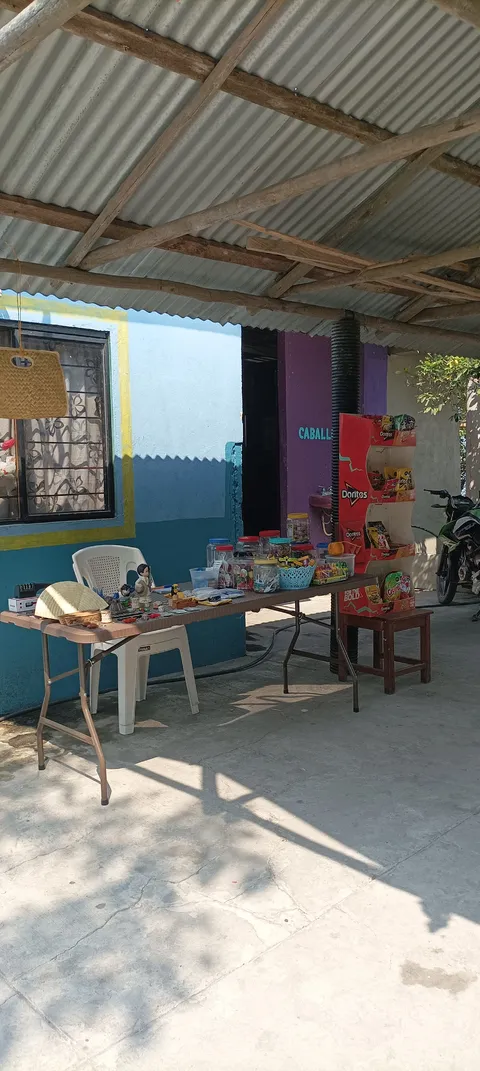PALAPA FAMILIAR BAHIA CELAYA image 7