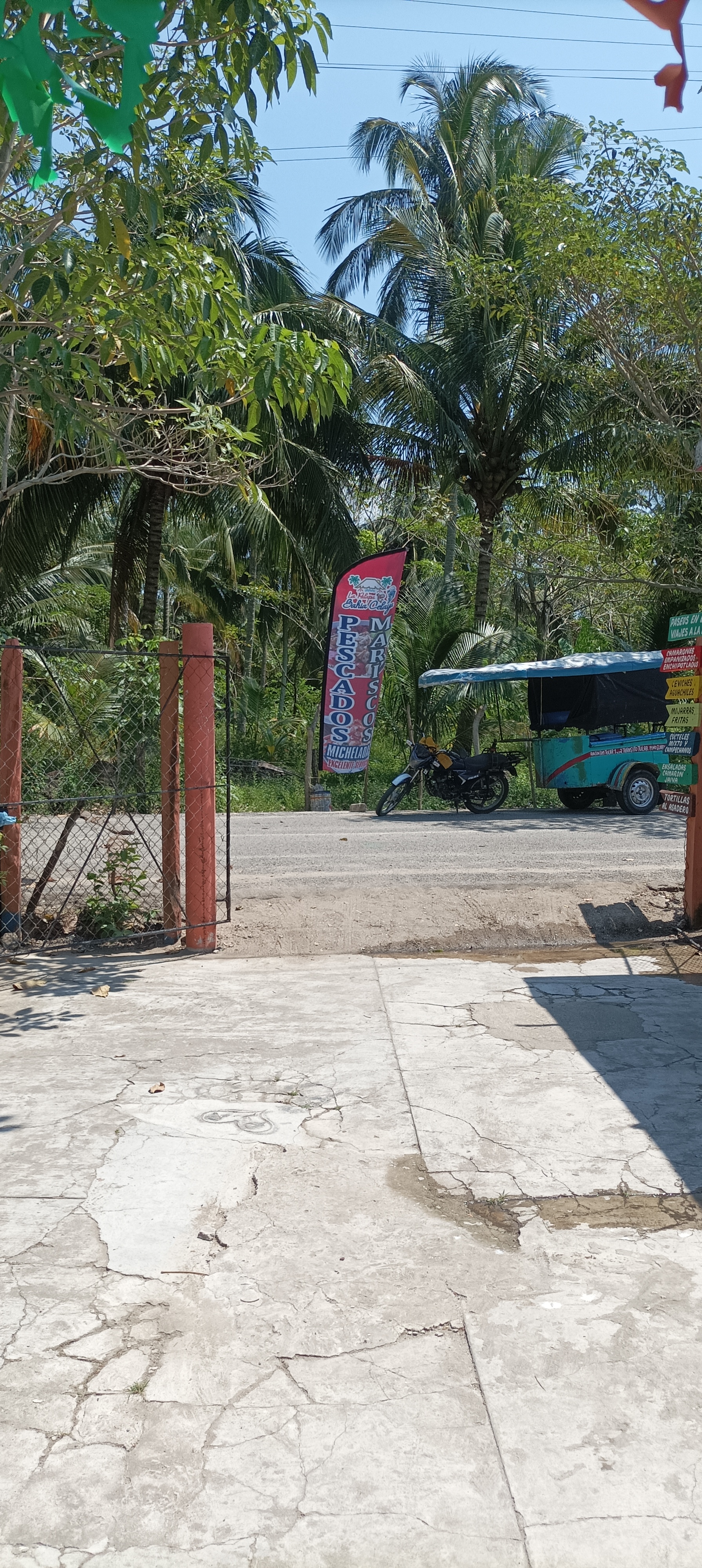 PALAPA FAMILIAR BAHIA CELAYA image 8