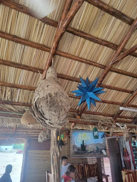 Restauran Don Pancho el Aguachile image 8