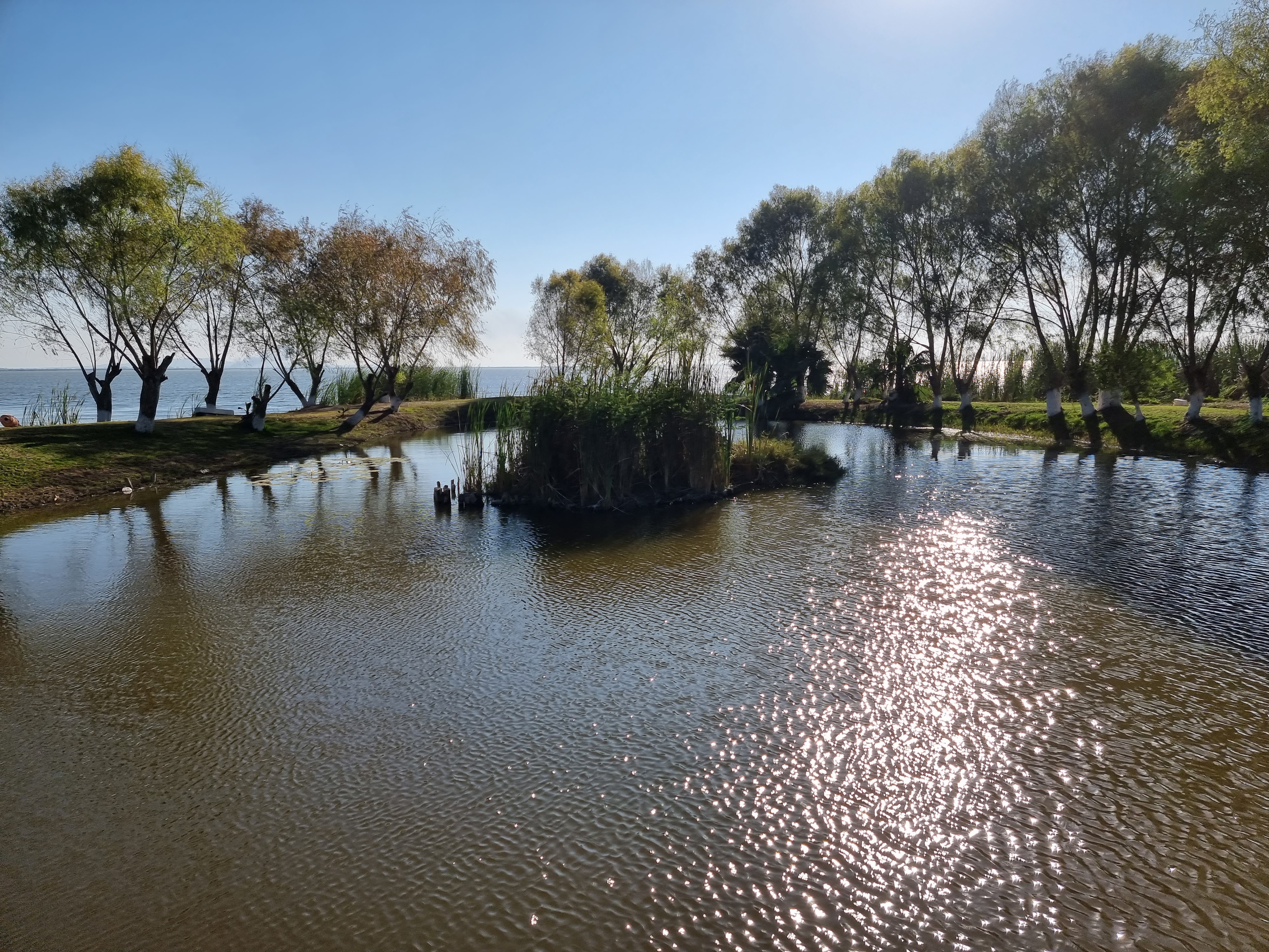 Lagarto Escondido image 5