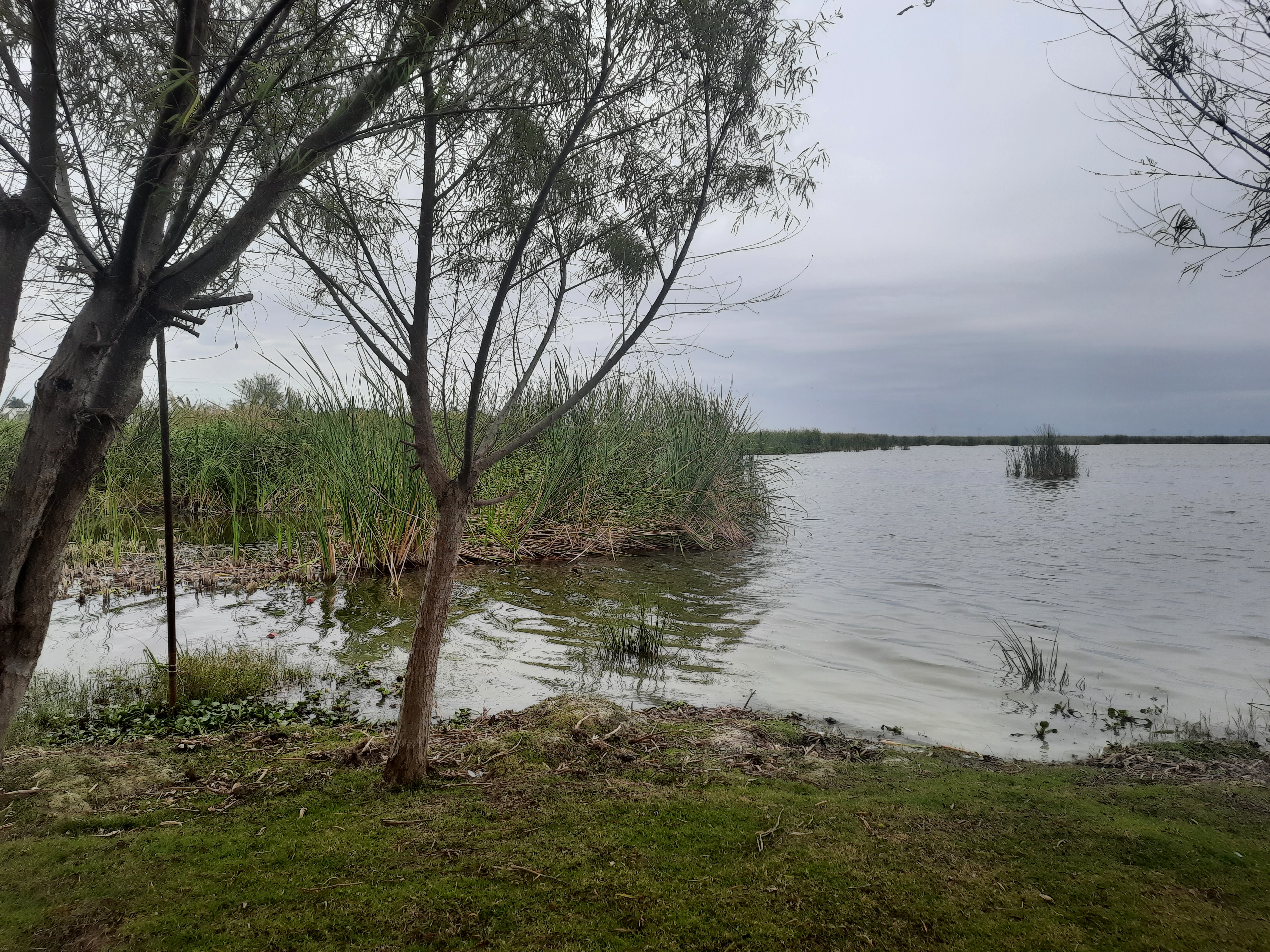 Lagarto Escondido image 6