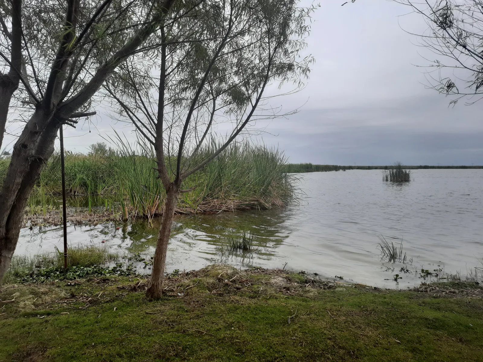 Lagarto Escondido image 6