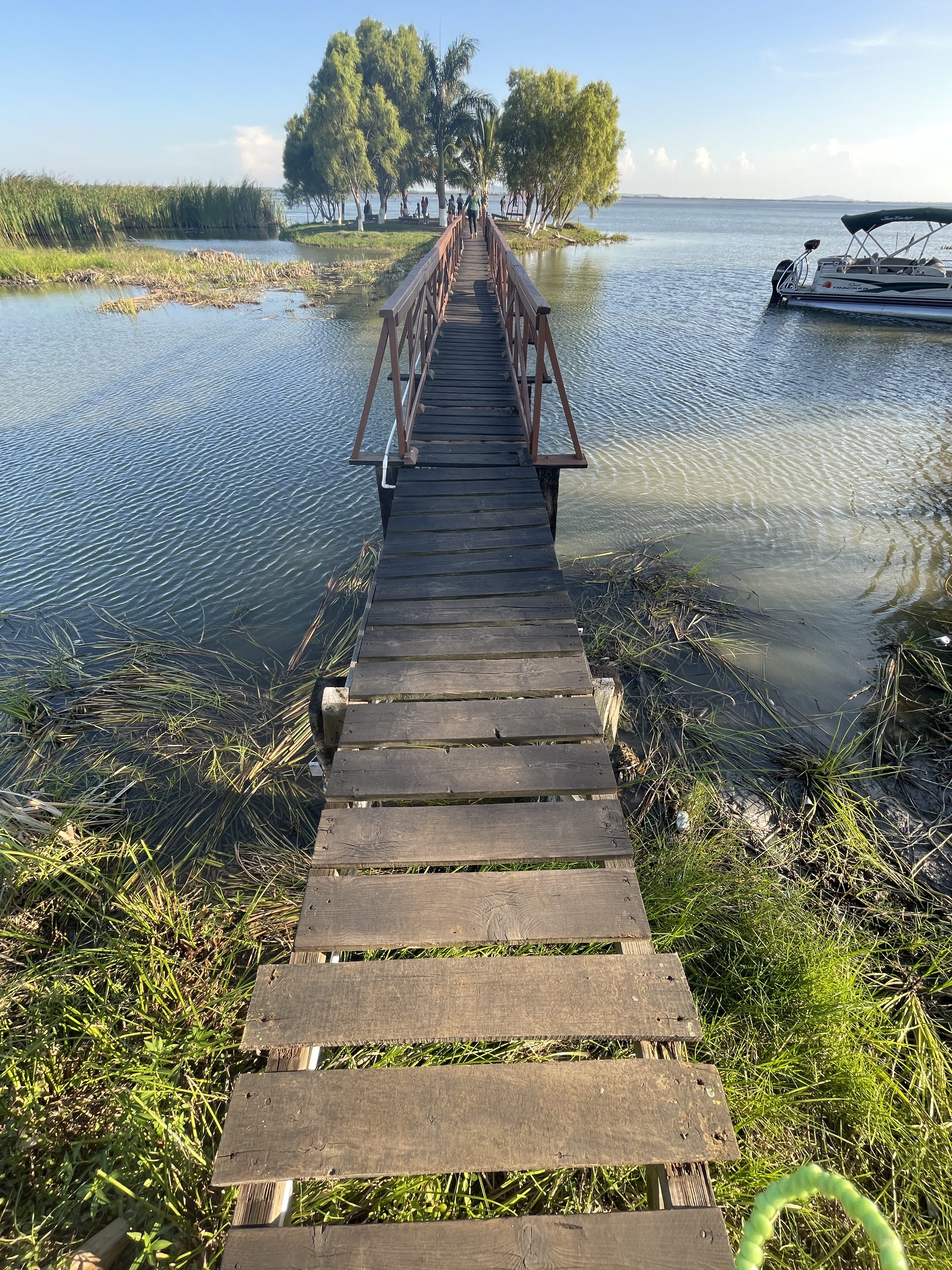 Lagarto Escondido image 7