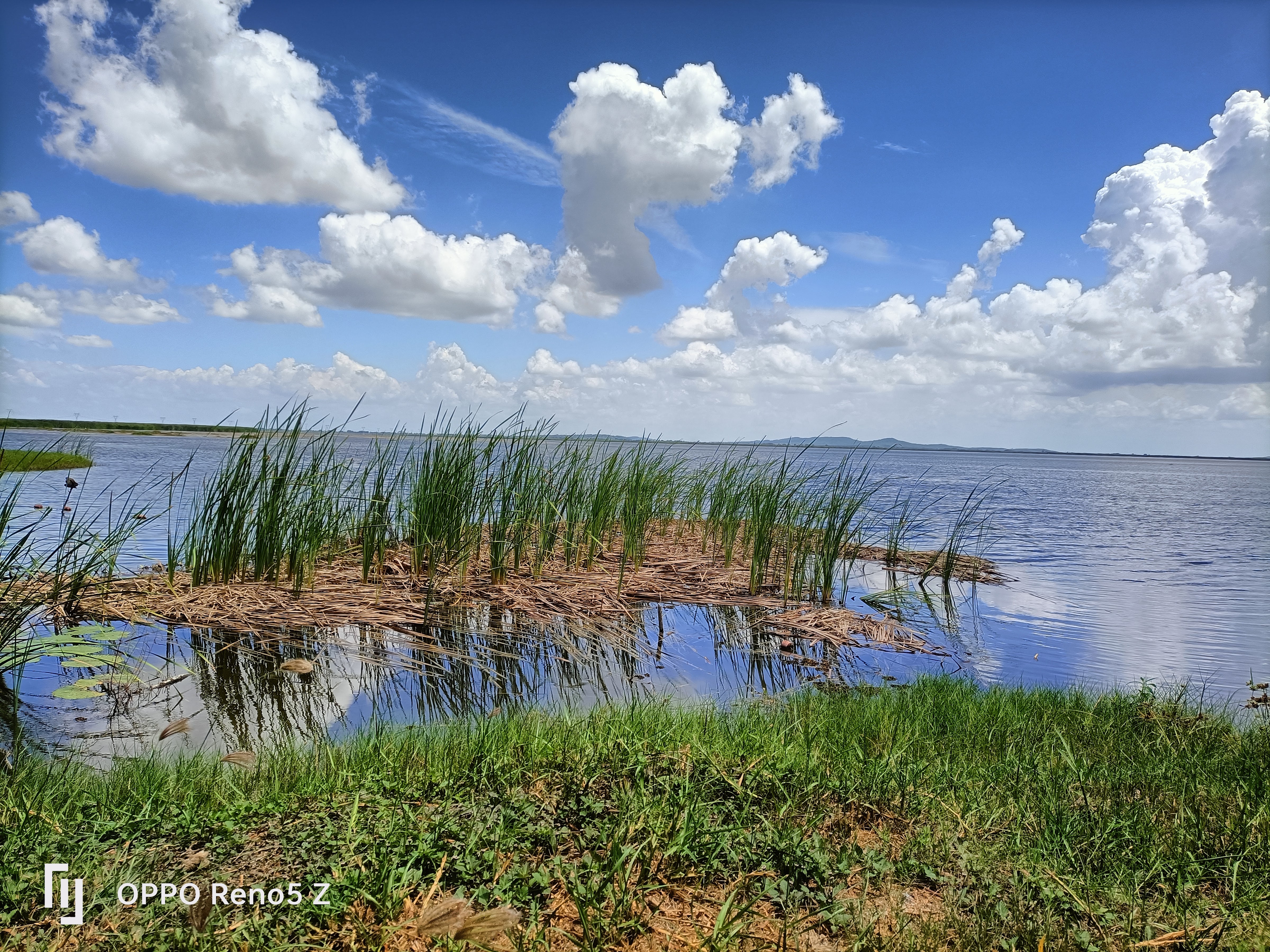 Lagarto Escondido image 10