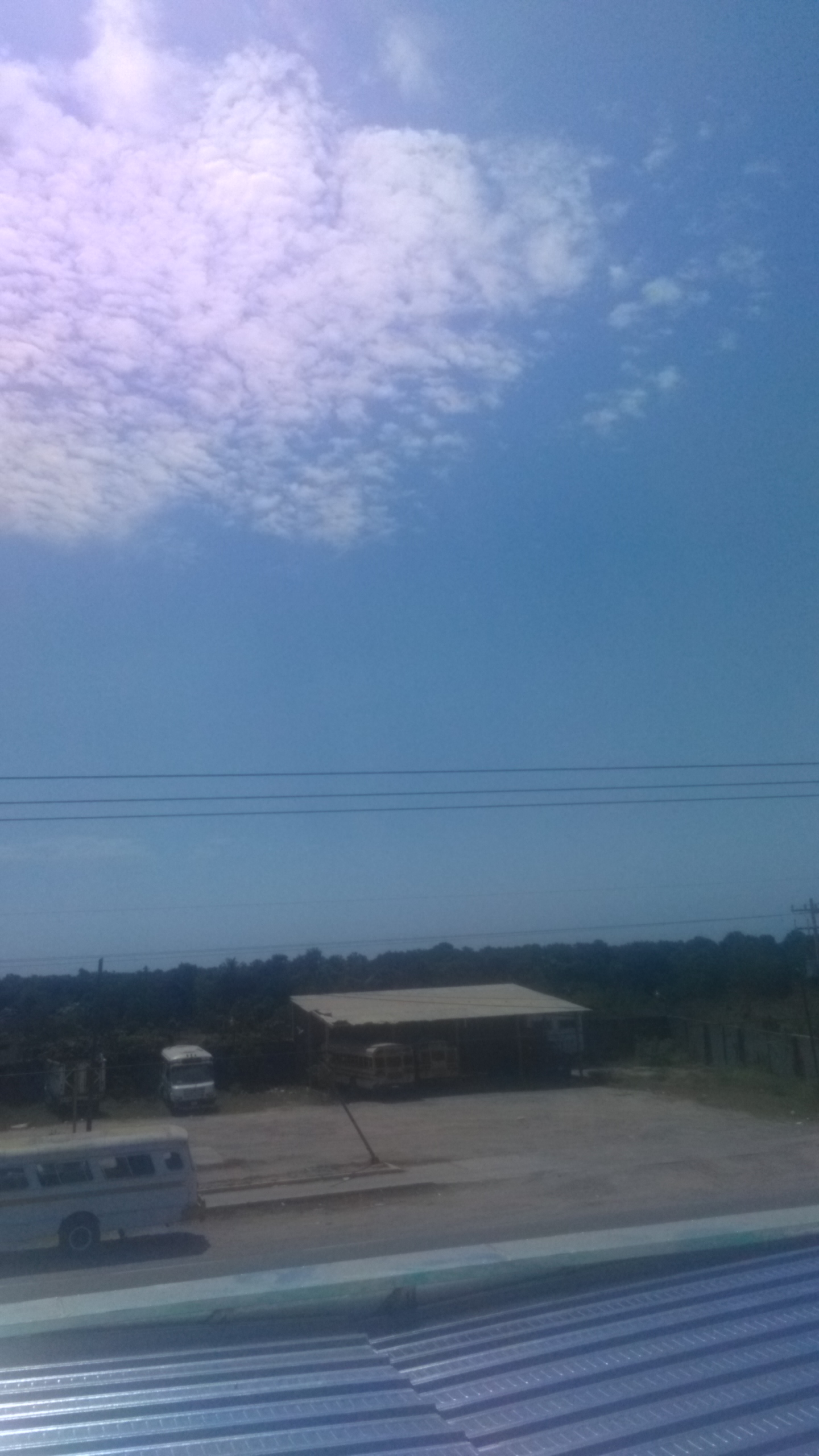 Birria De Don Arturo image 3