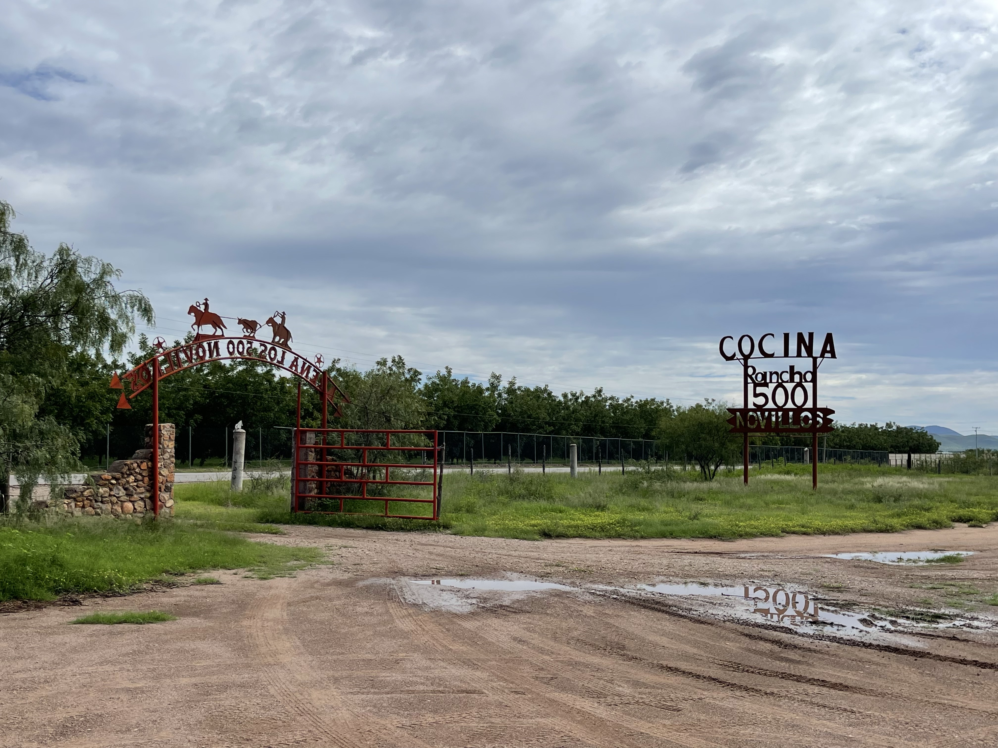 Los 500 Novillos image 4