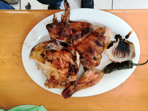 El Pollo coqueto image 4