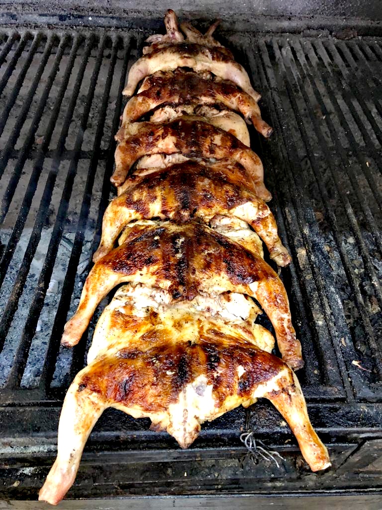 El Pollo coqueto image 8