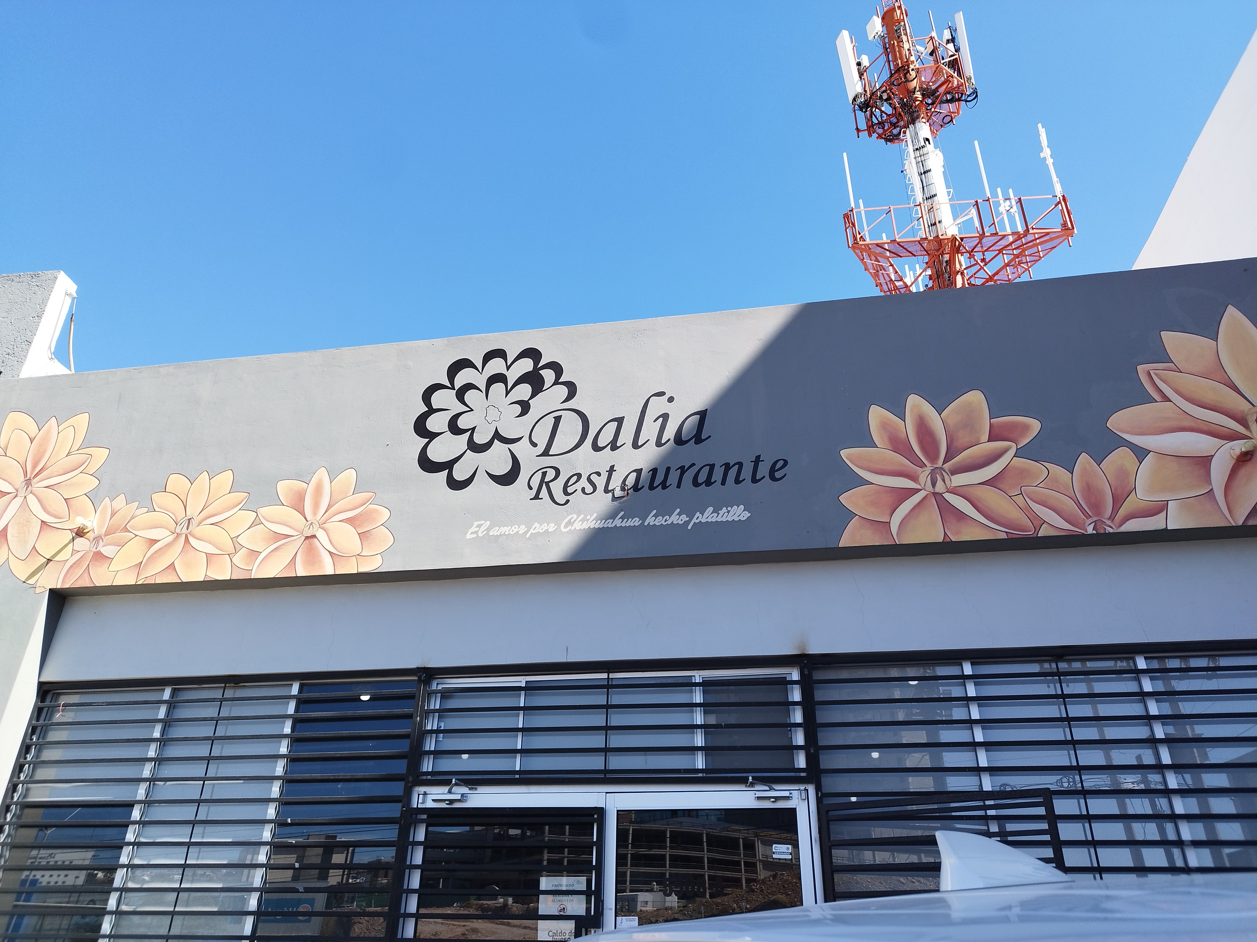 Dalia Restaurante image 5