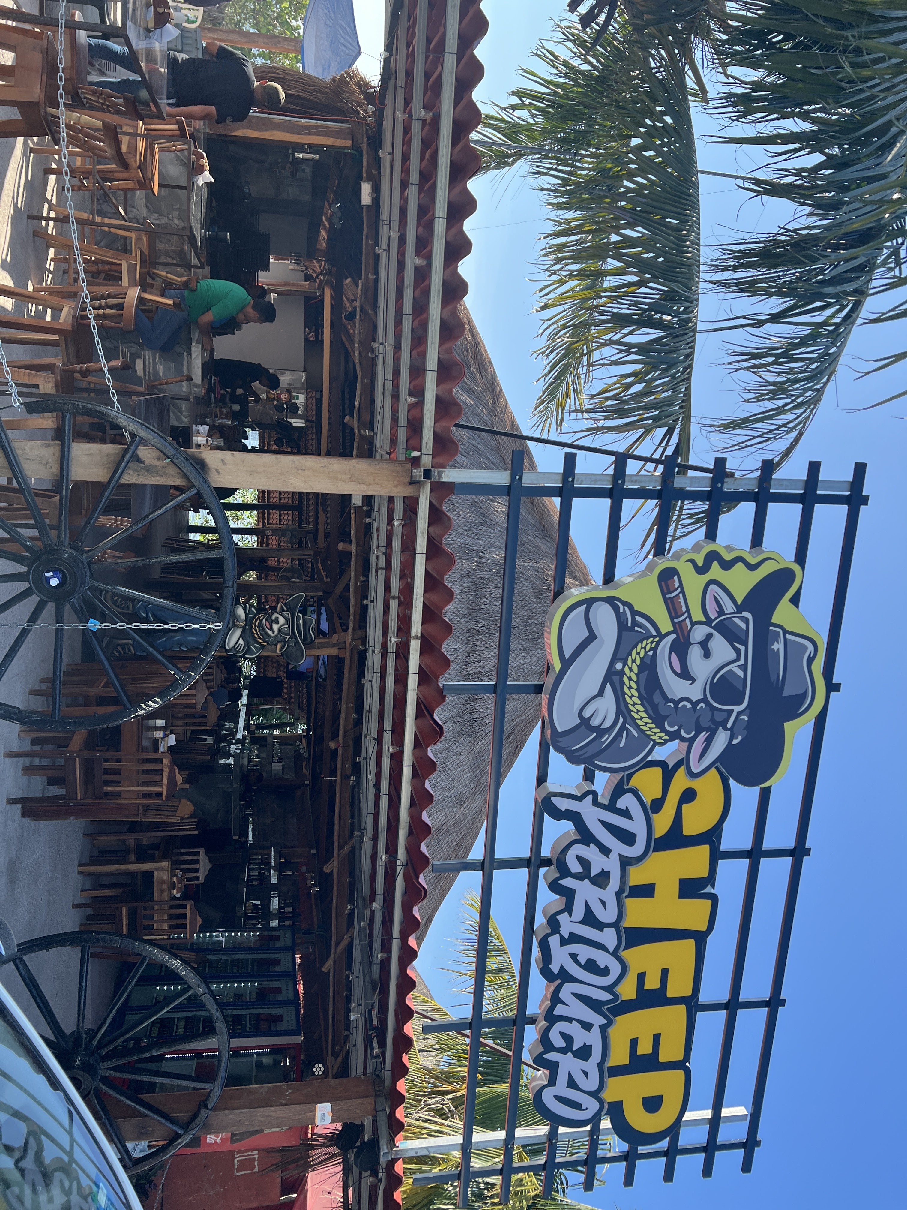 SHEEP PERIQUERO image 6