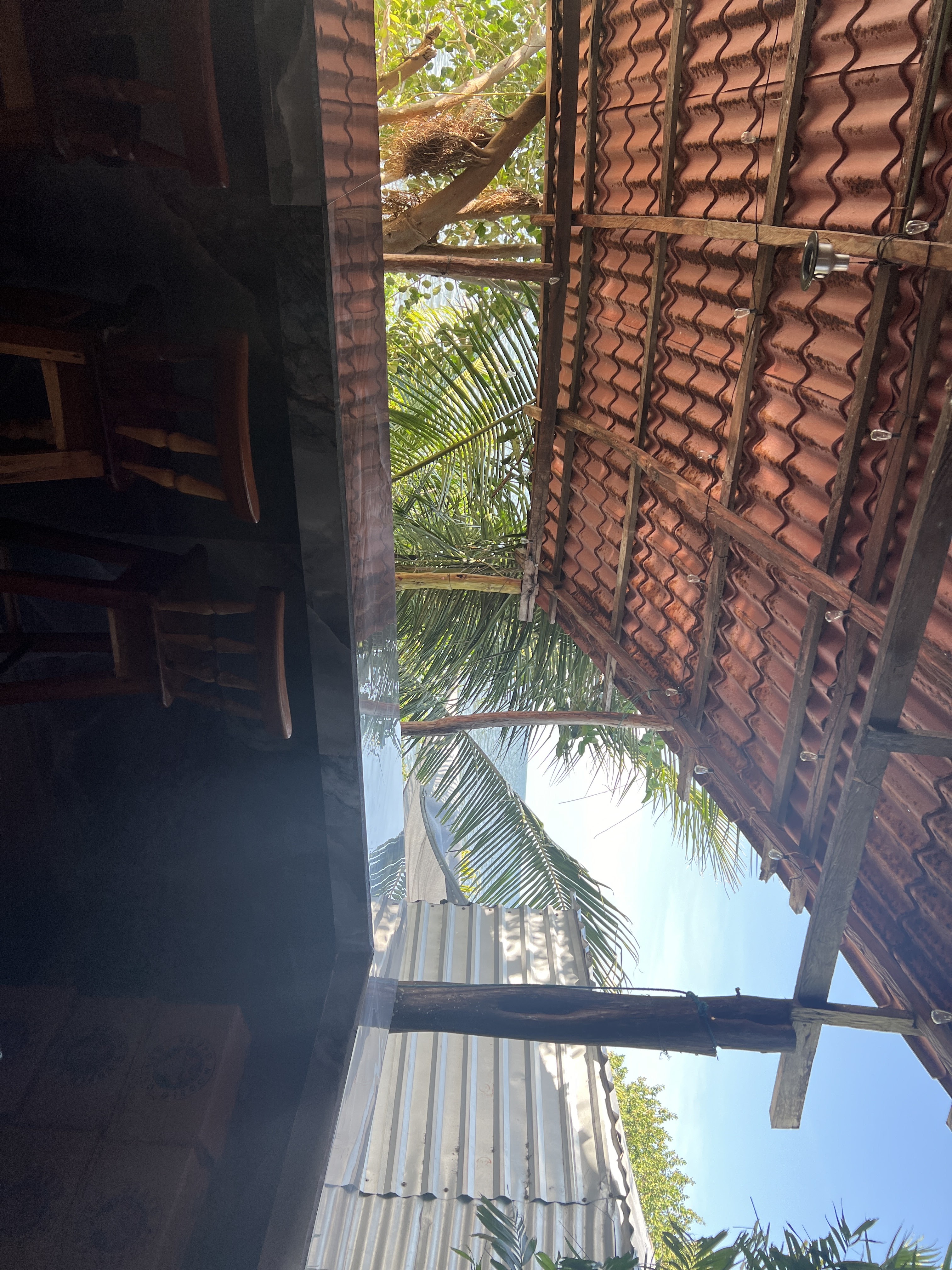 SHEEP PERIQUERO image 8