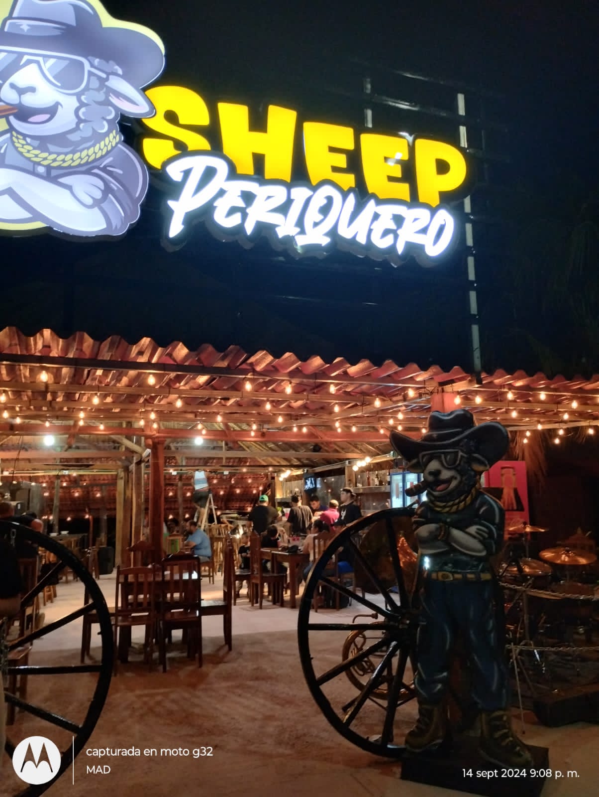 SHEEP PERIQUERO image 10