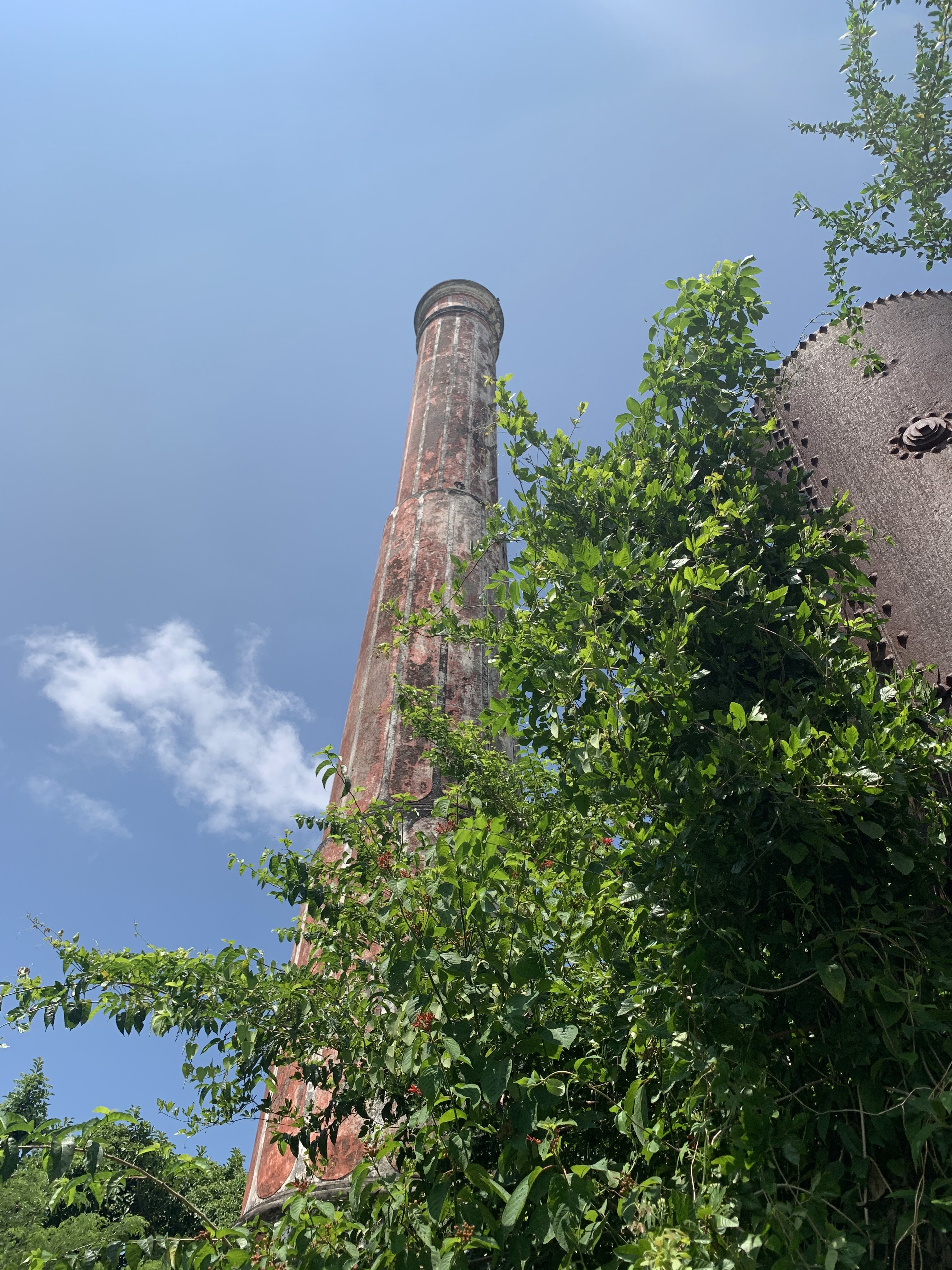 Pizzería Morcan image 9