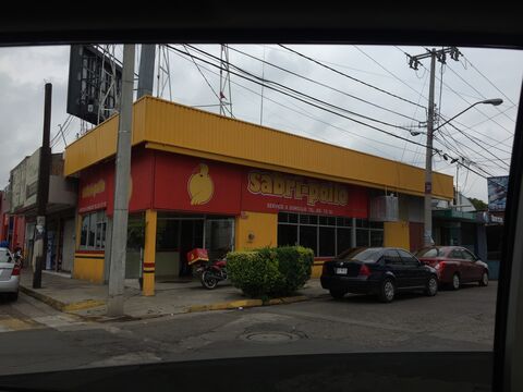 Sabri Pollo image 1