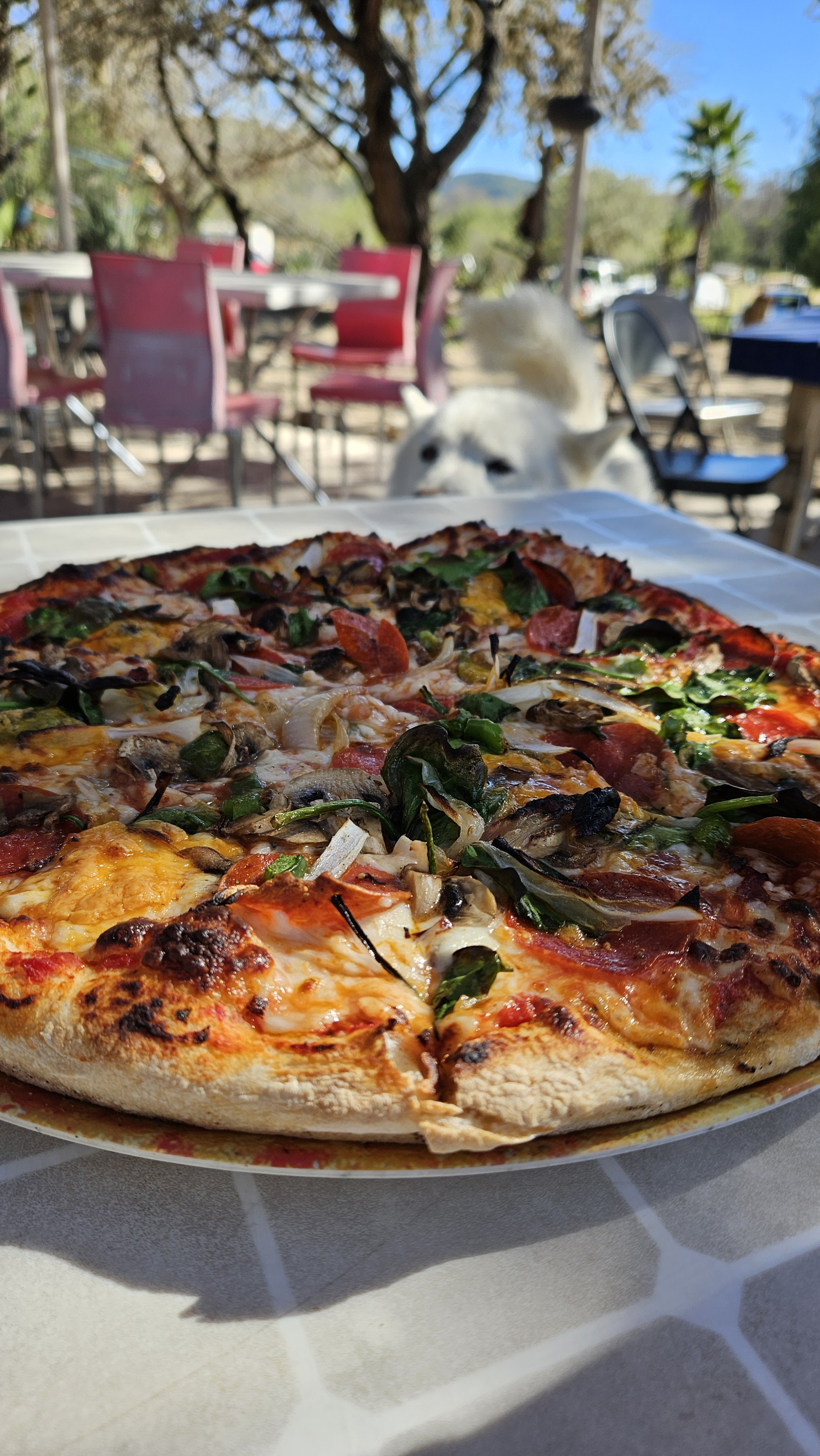 Aventurarte Restaurante Campestre image 3