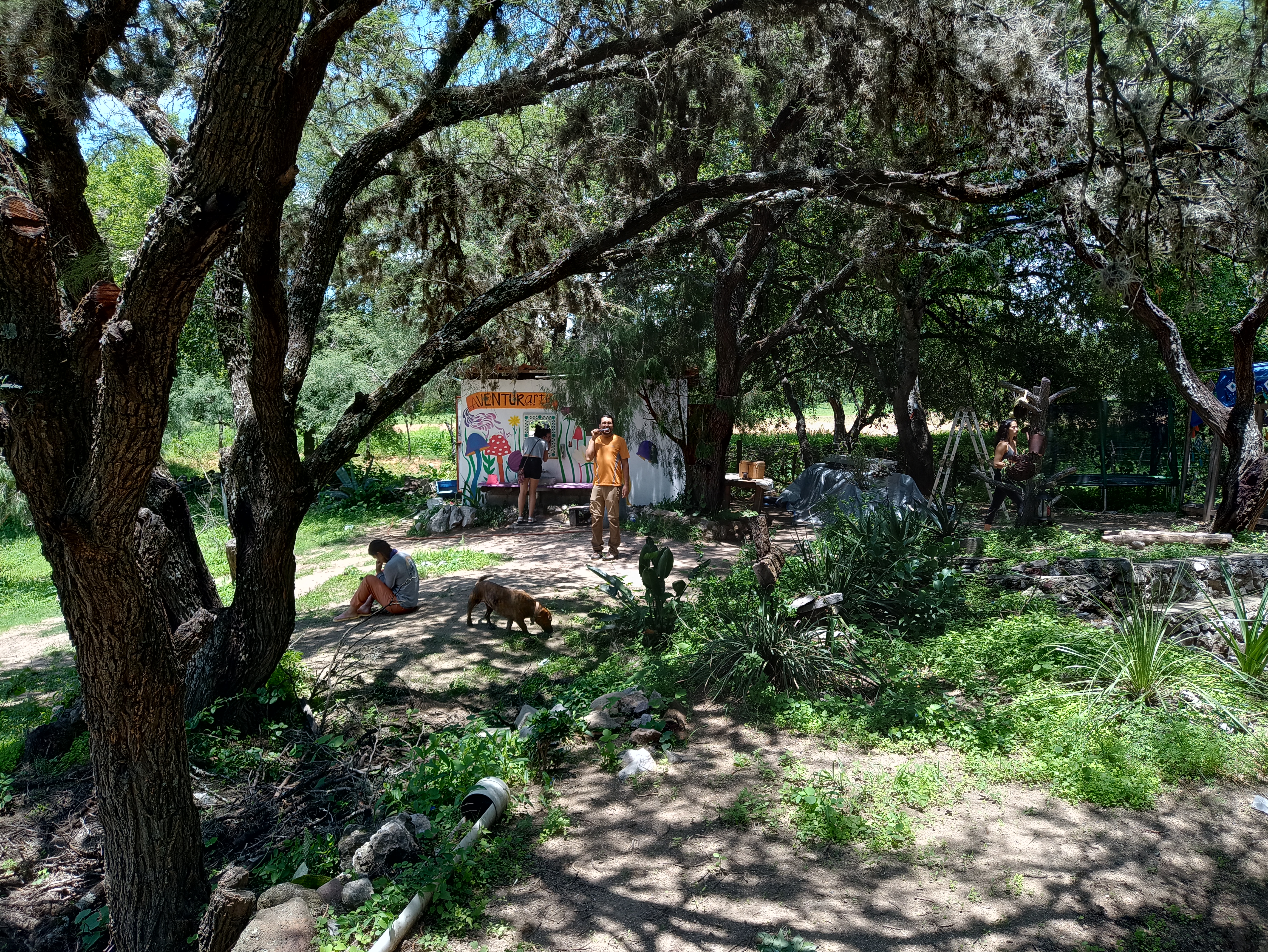 Aventurarte Restaurante Campestre image 4