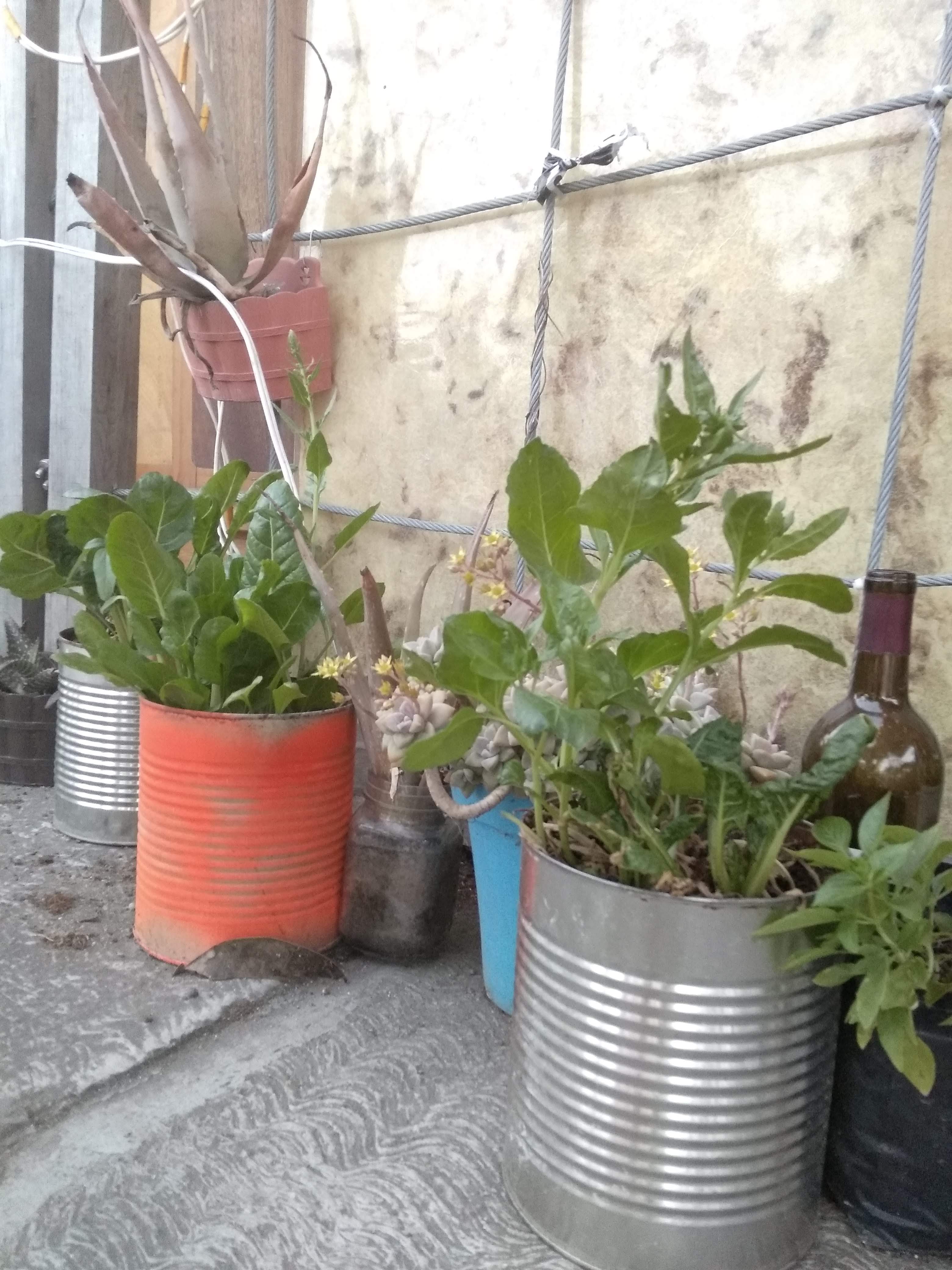 Aventurarte Restaurante Campestre image 9