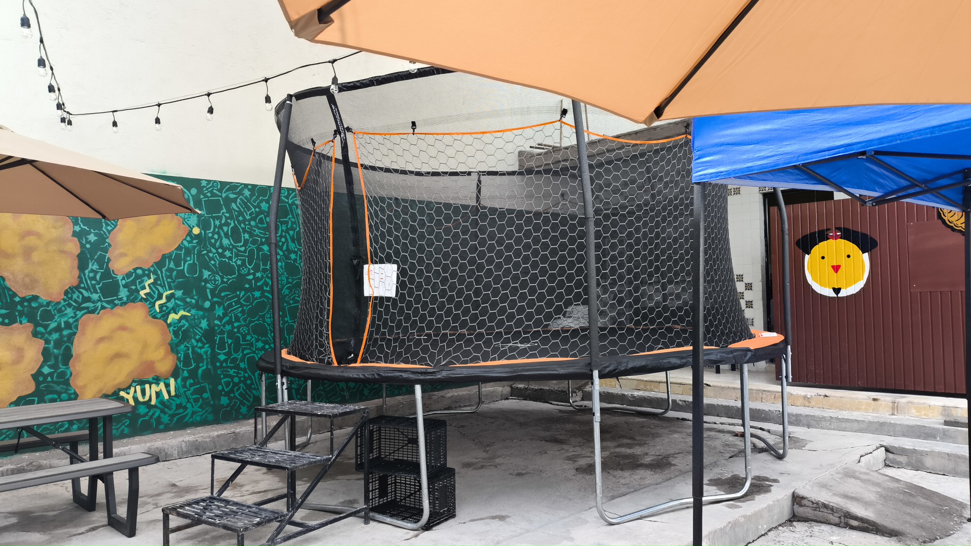 Quijote Fried Chicken image 2