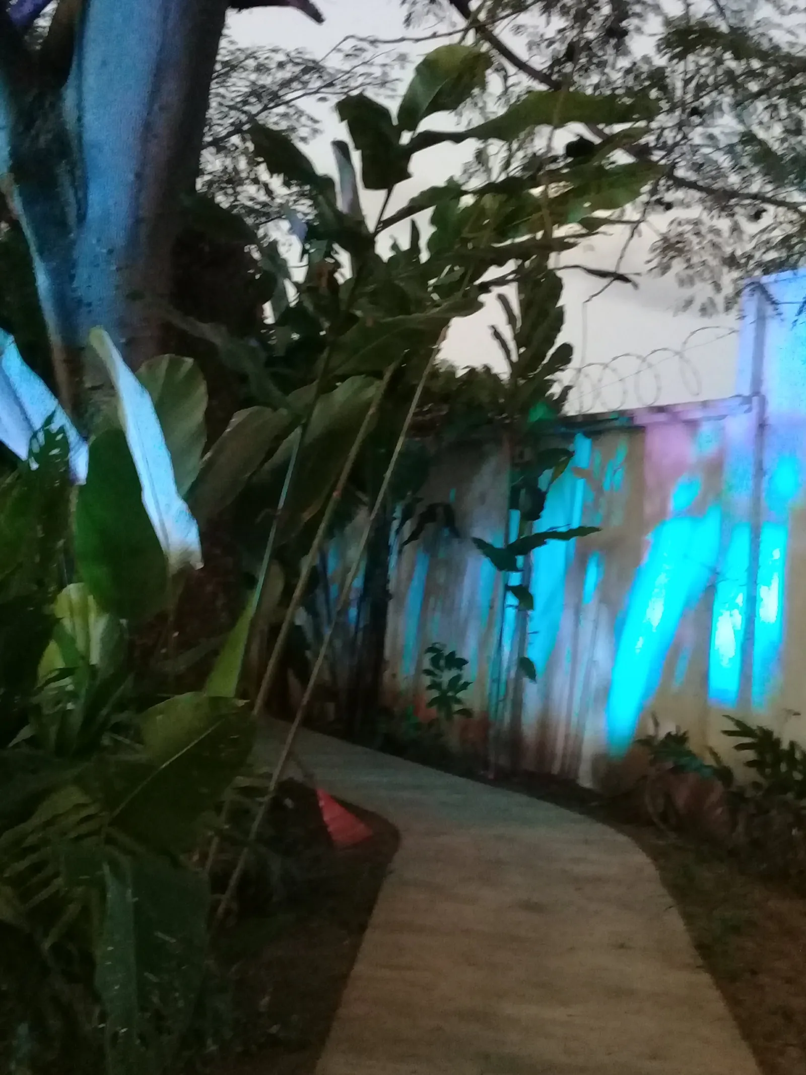 La Hacienda image 2