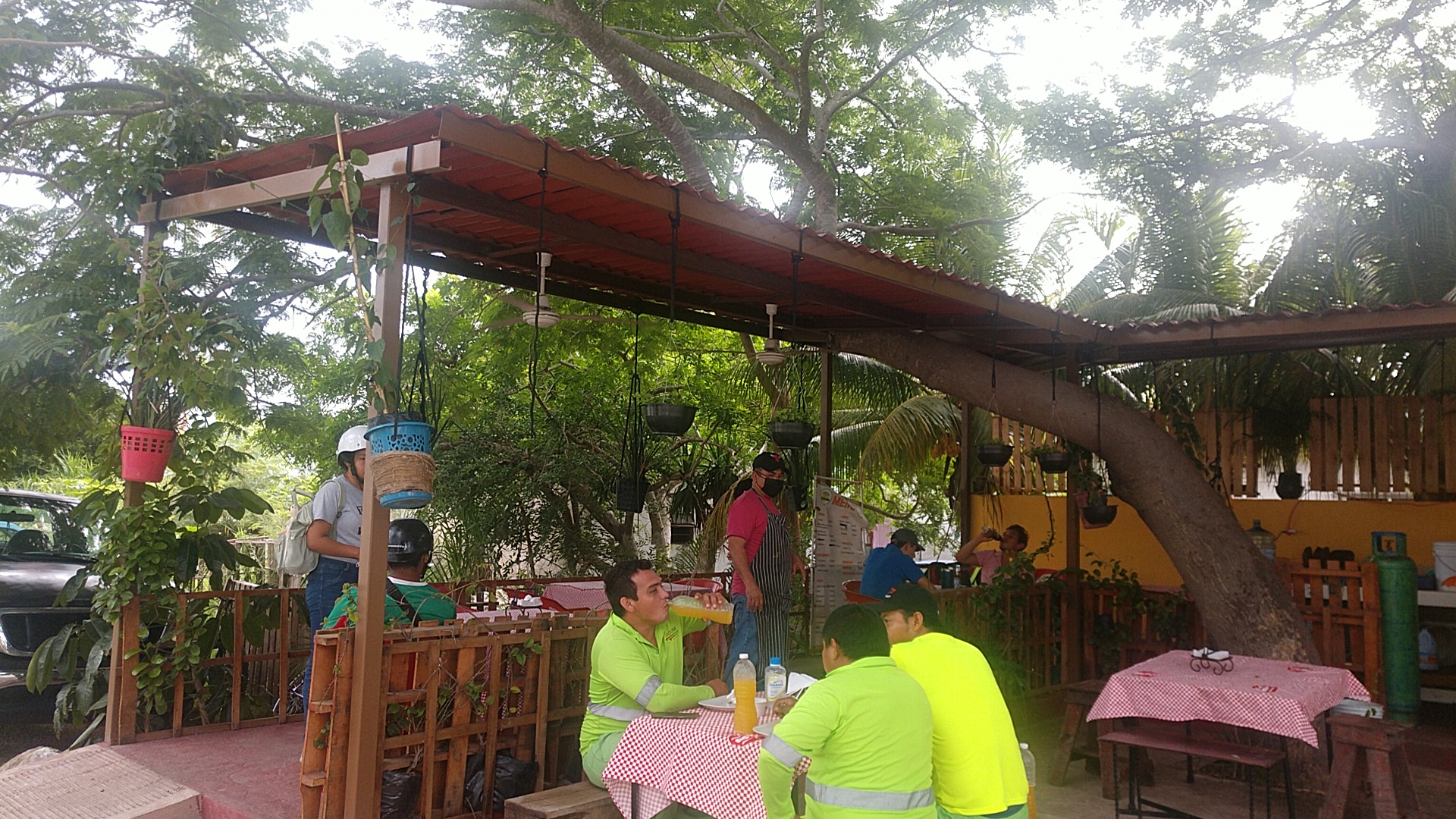 La cabaña de don cerdo image 9