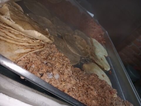 TACOS "LA FLAMA" image 5