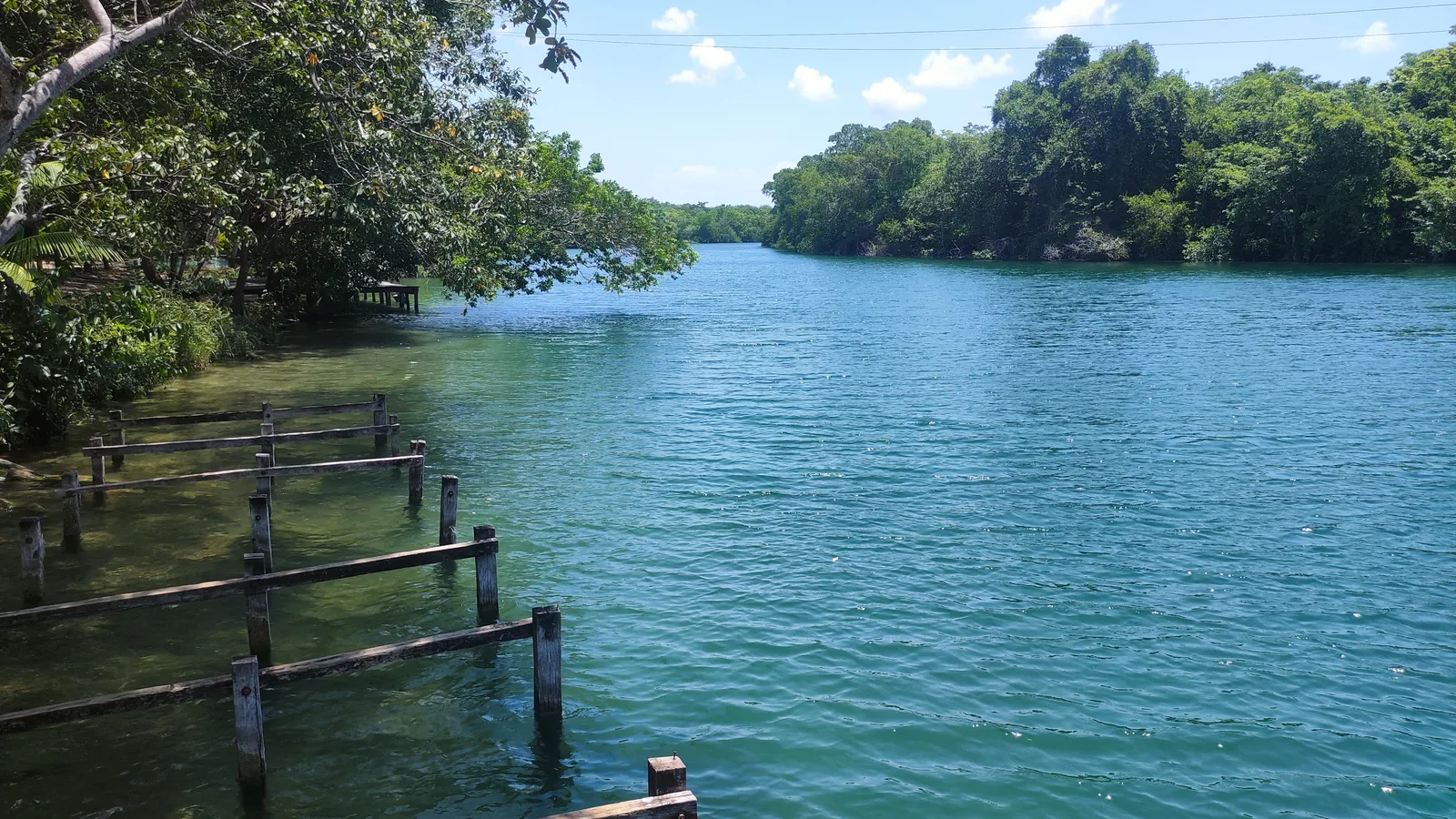 Palapa Rio Hondo image 3