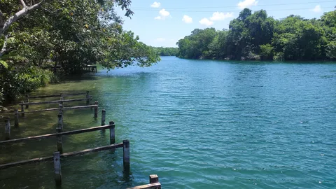 Palapa Rio Hondo image 3