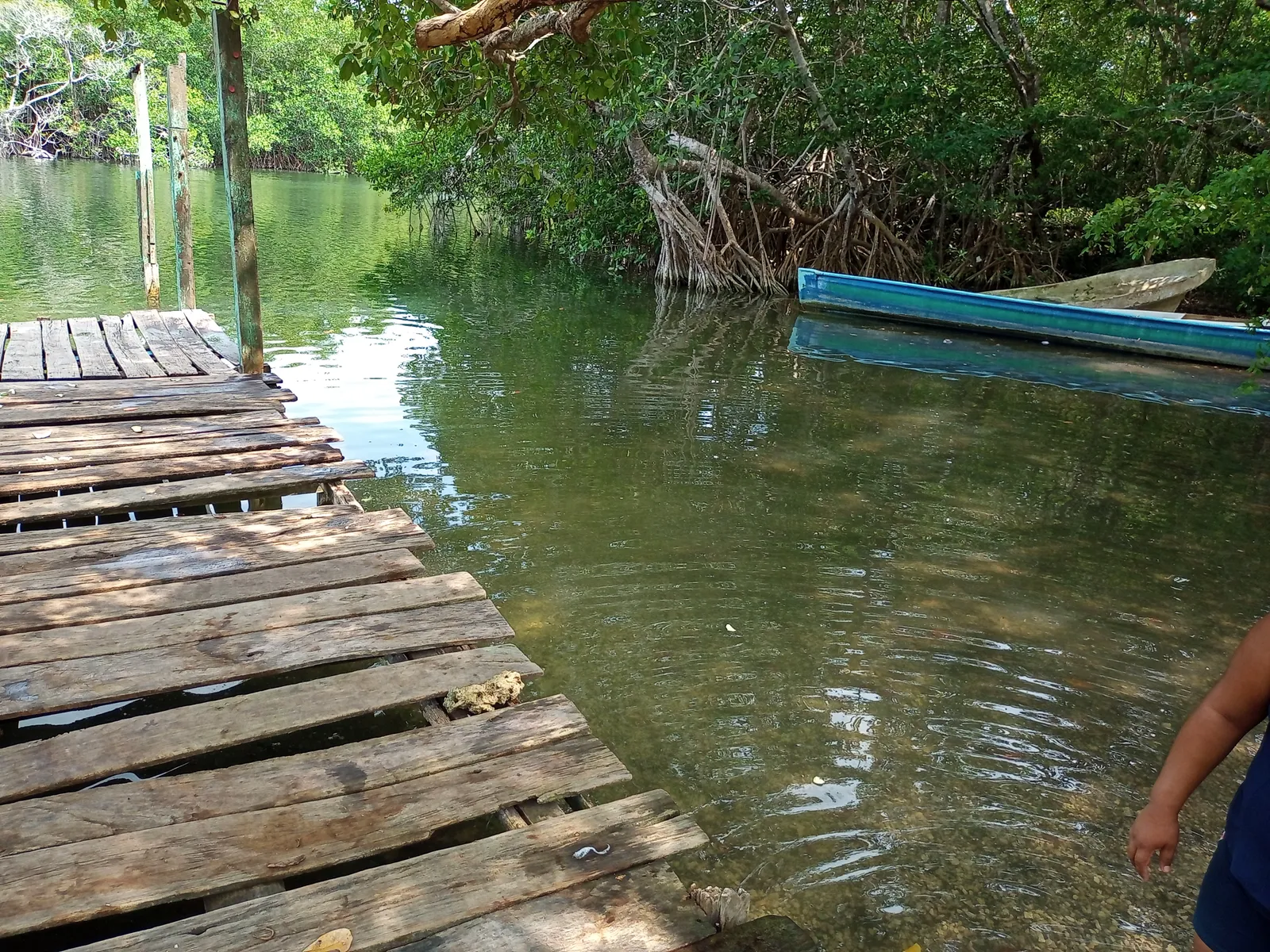 Palapa Rio Hondo image 4