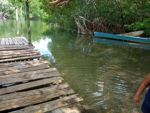 Palapa Rio Hondo image 4