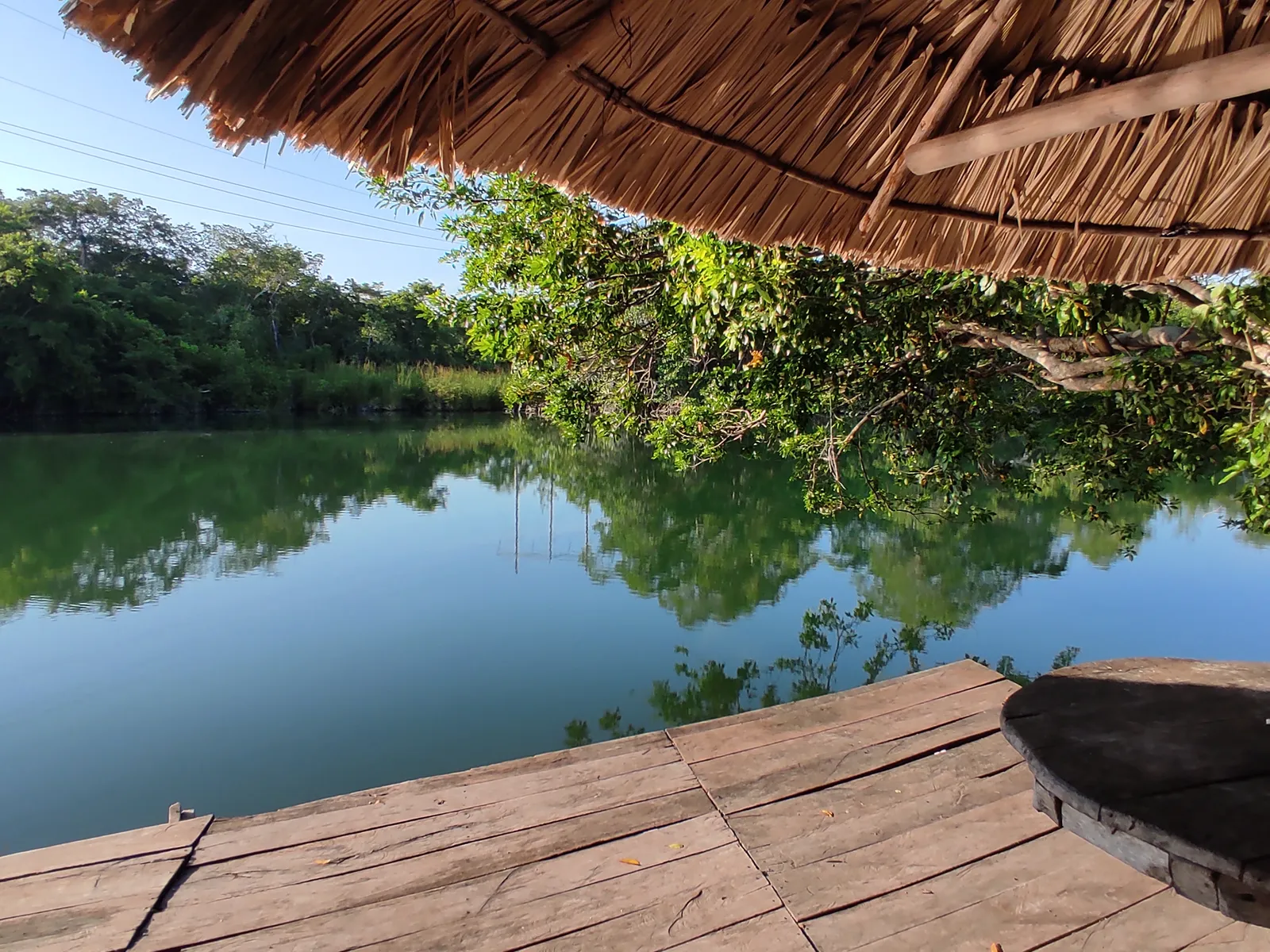 Palapa Rio Hondo image 7