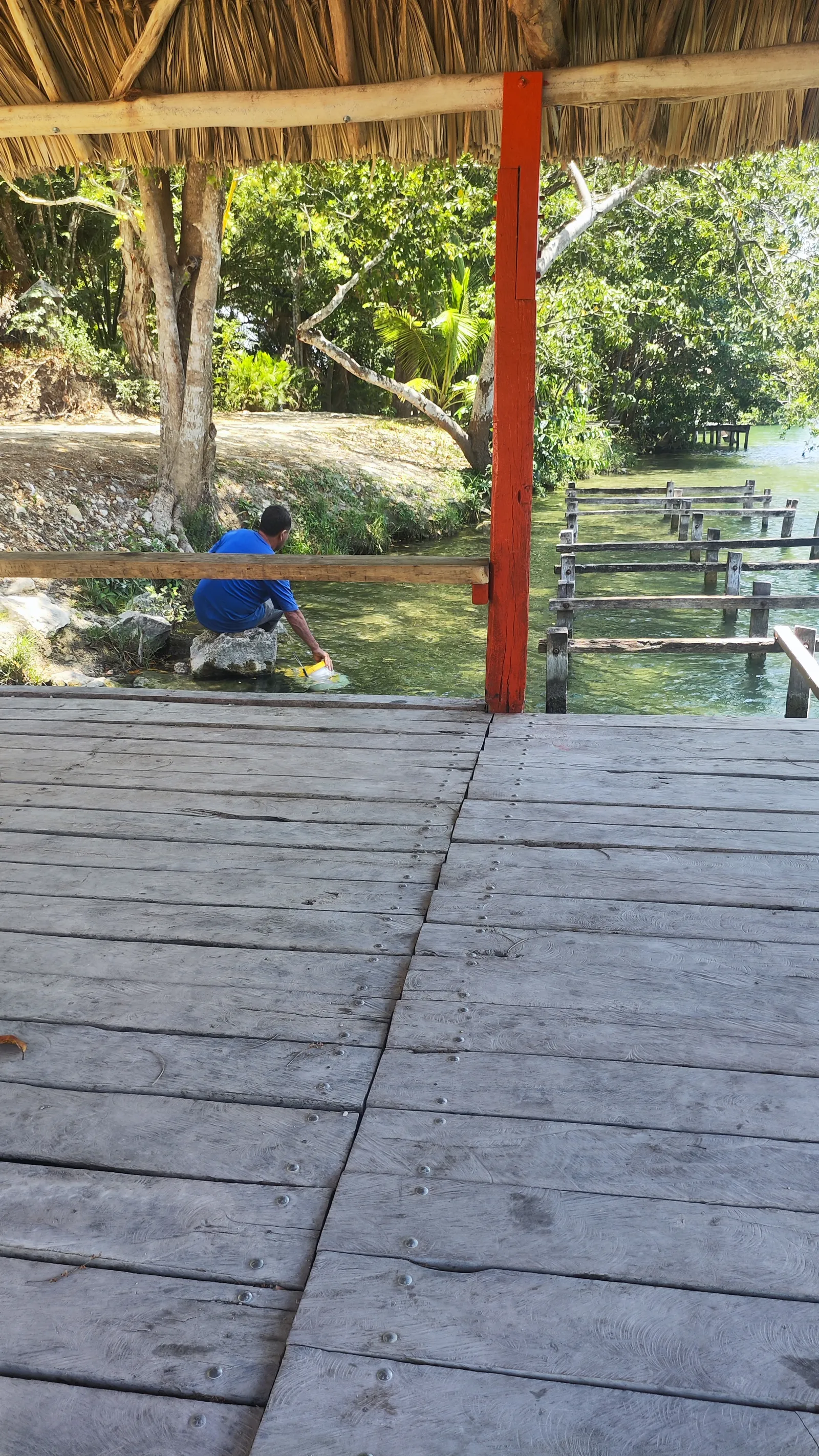Palapa Rio Hondo image 10