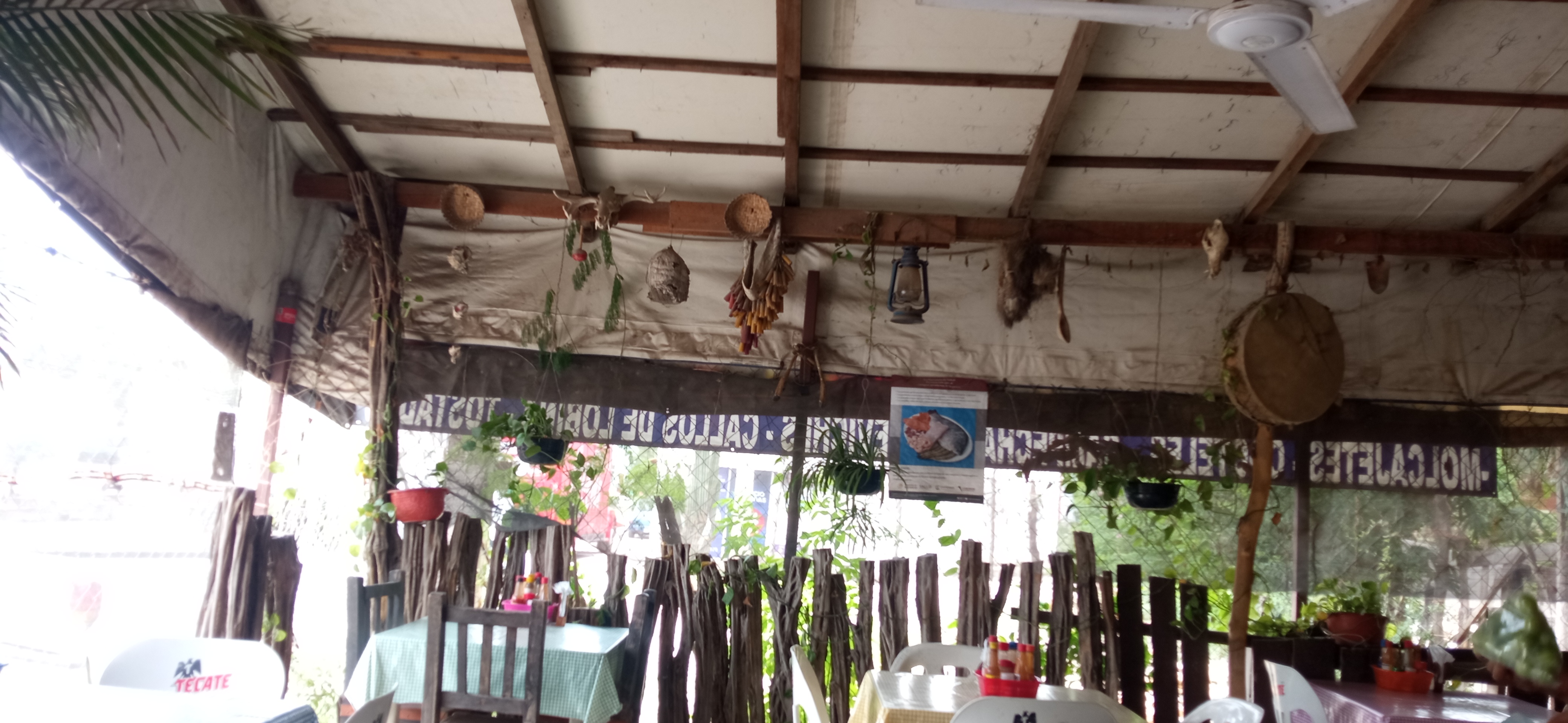 Mariscos TOTO image 7