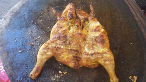 Pollos Mayos image 8