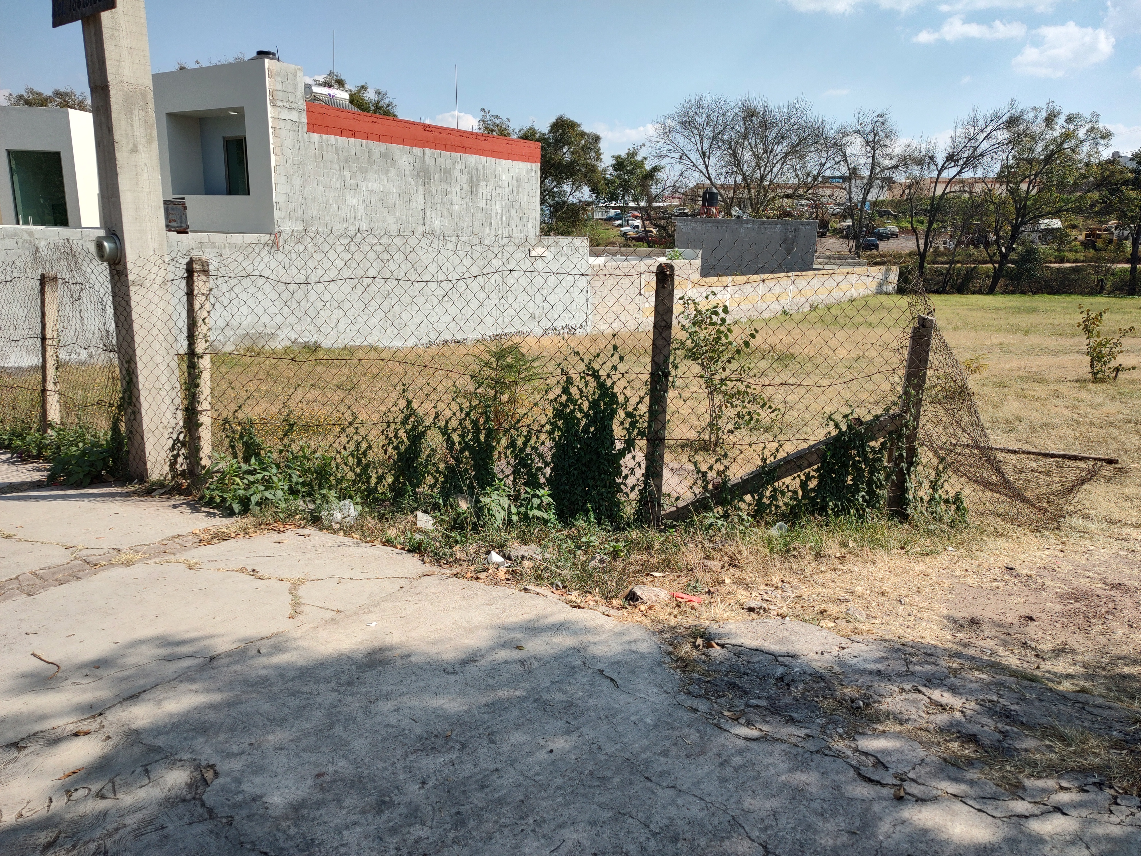 Tacos Ahogados Kaballeros de Hidalgo image 6