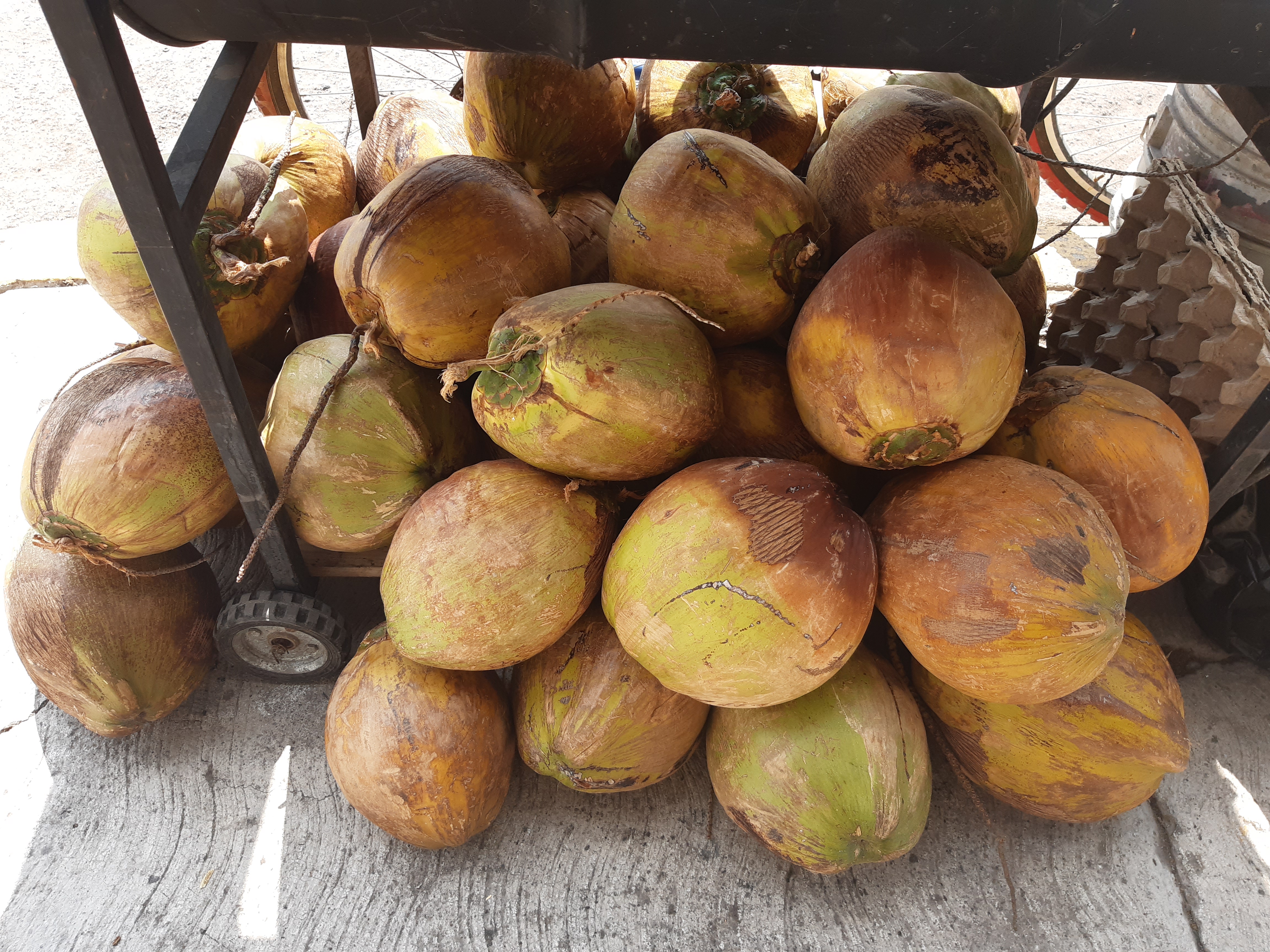 Aka Las Botanas image 8