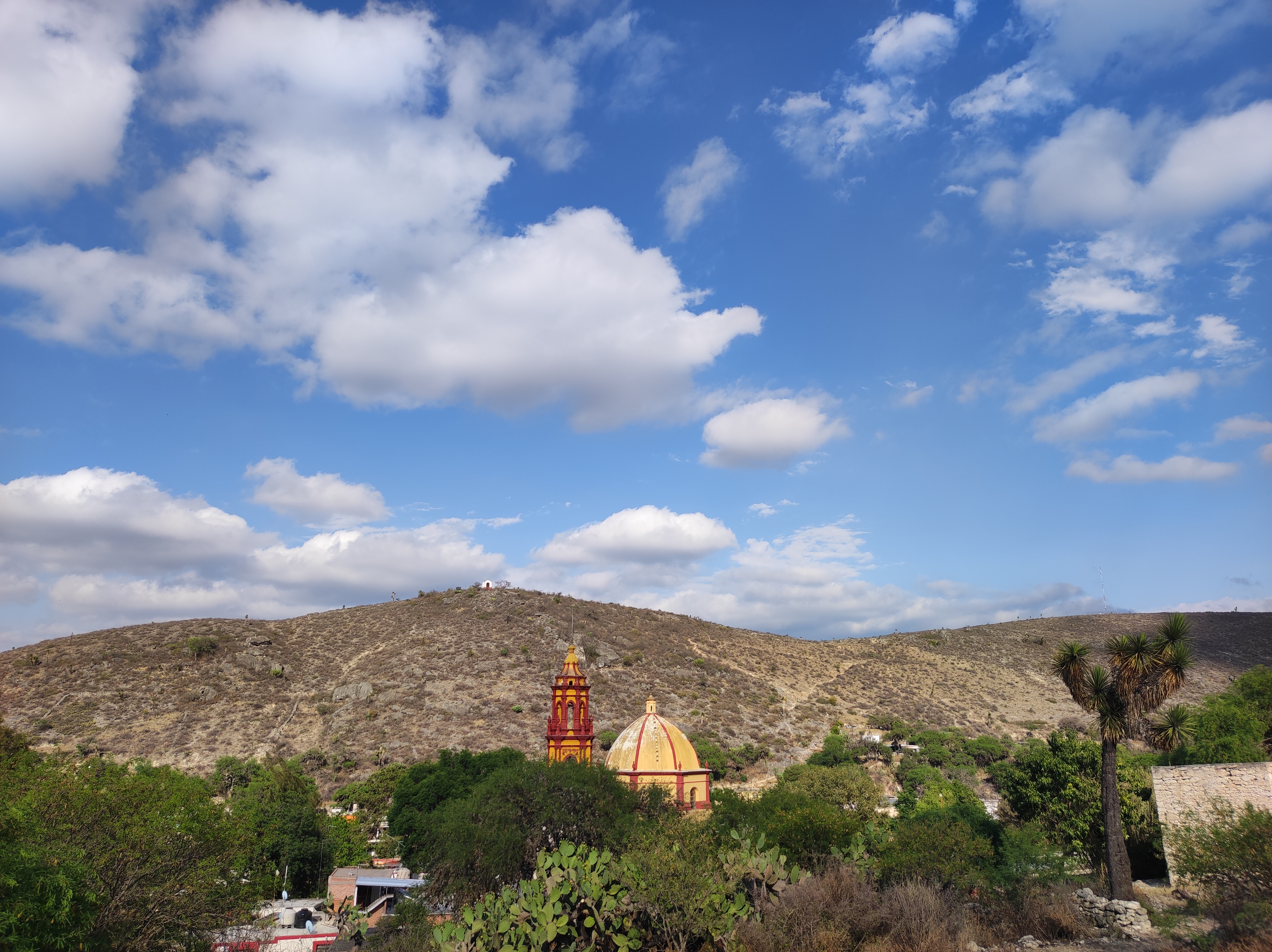 Armadilli Pizzeria image 10