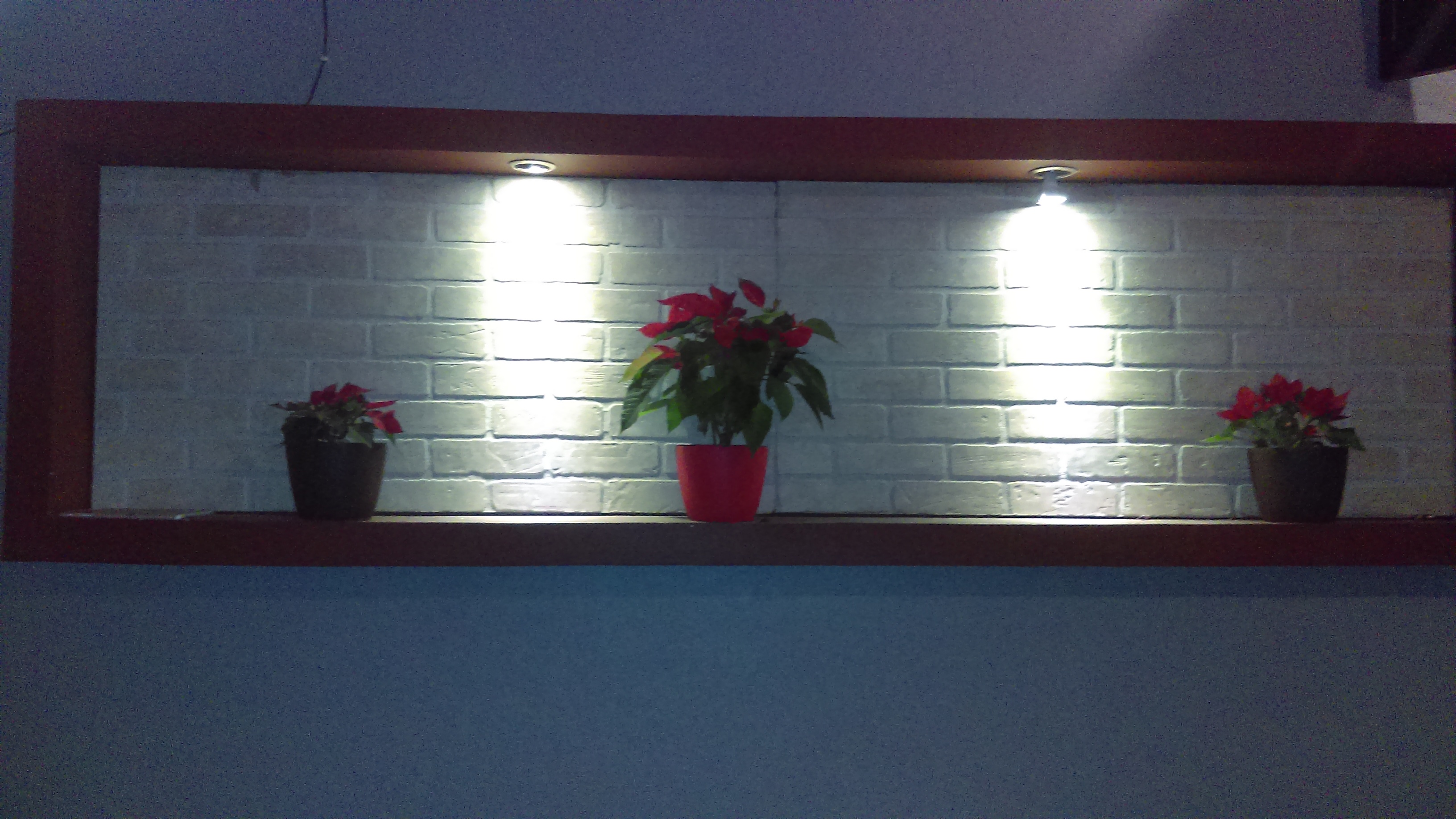 Roos Snack Bar image 1